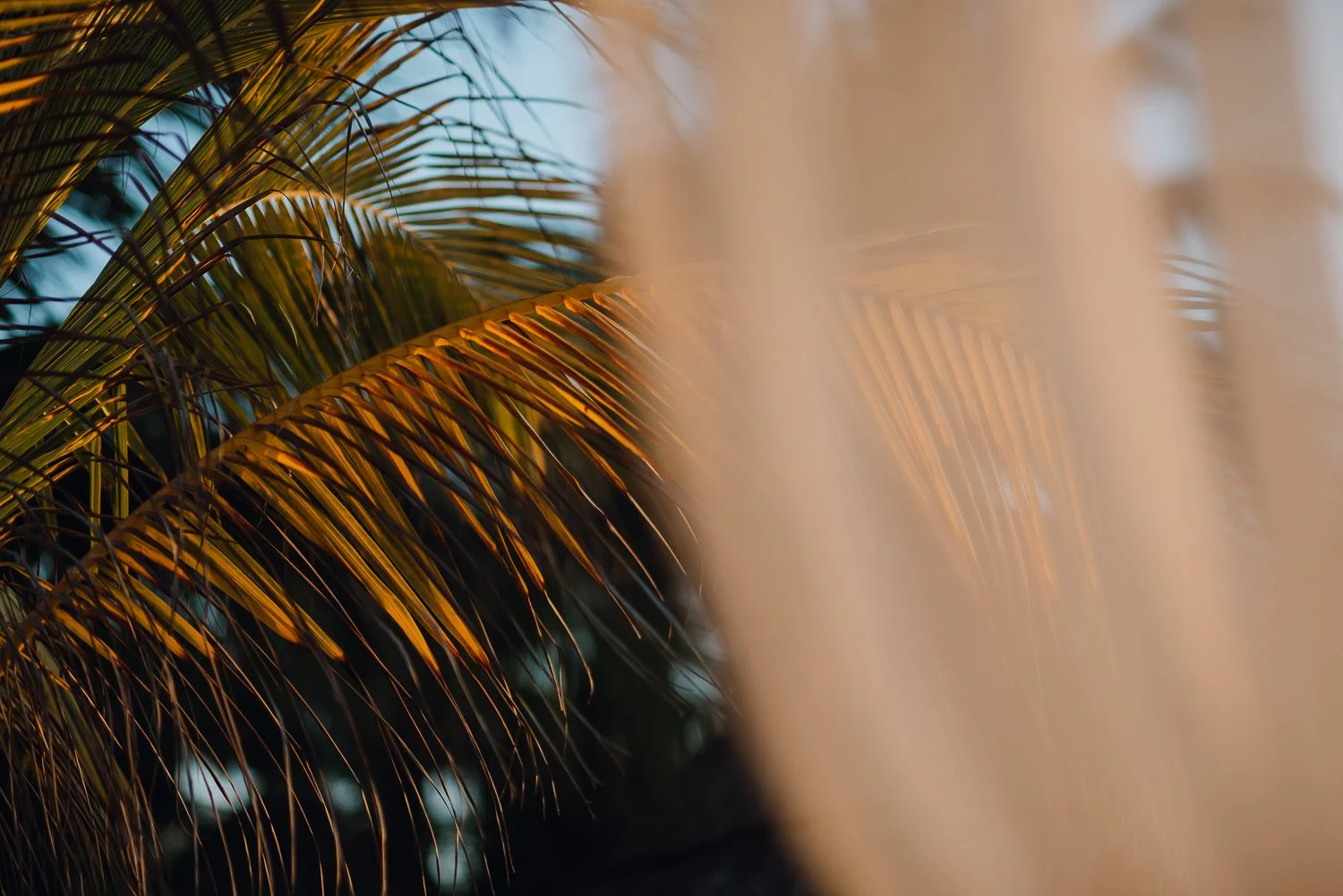 Ryan-Waneka-Photography-Travel-2021-Isla-Holbox-Mexico-8.jpg
