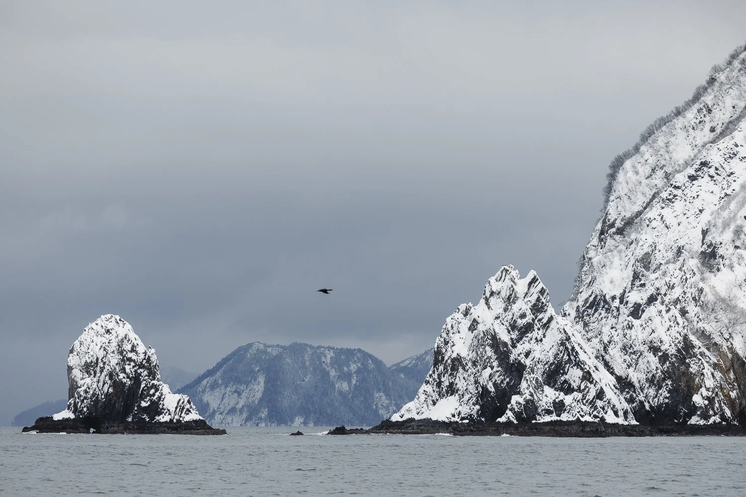 Ryan Waneka Photography Travel Visit Alaska Adventure-40.jpg