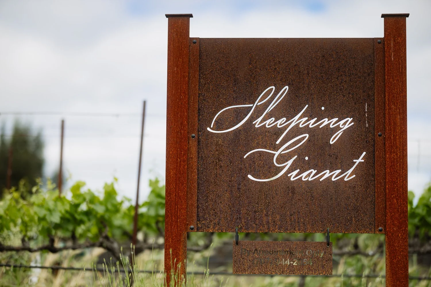 4-13-2026 Backstage Access Presents Napa Valley Food Wine Music Festival Country Songwriters California Event Ryan Waneka Photography_13.jpg