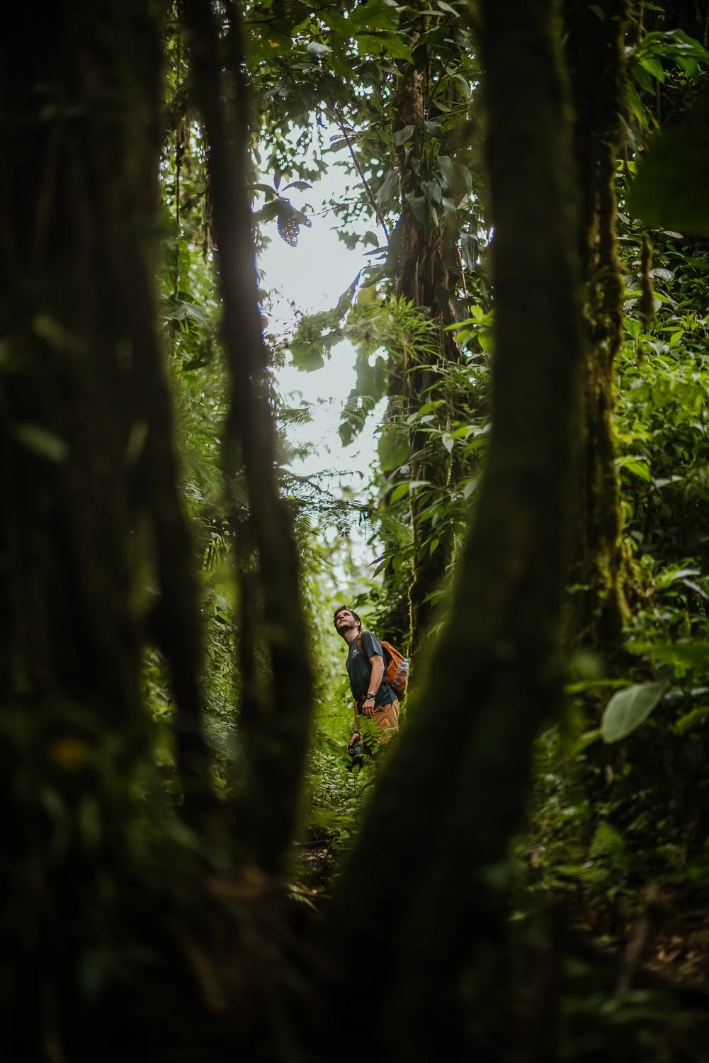 travel photograph of a young hiker exploring on a trail in Monteverde cloud forest in Costa Rica