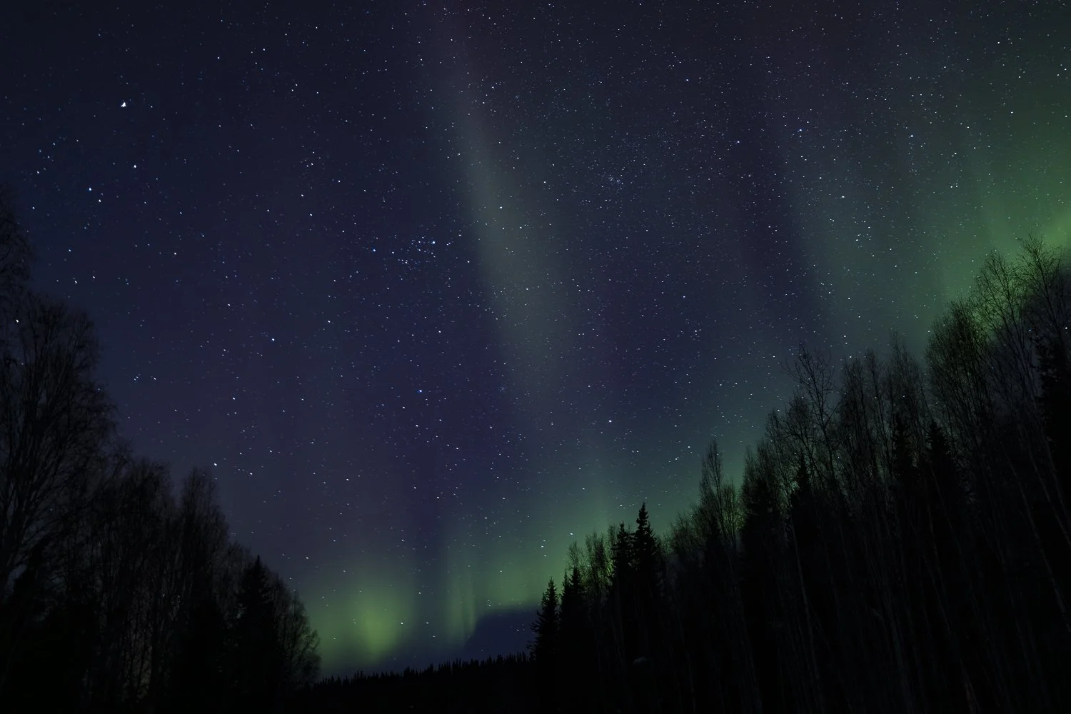 Ryan Waneka Photography Travel Visit Alaska Adventure-74.jpg