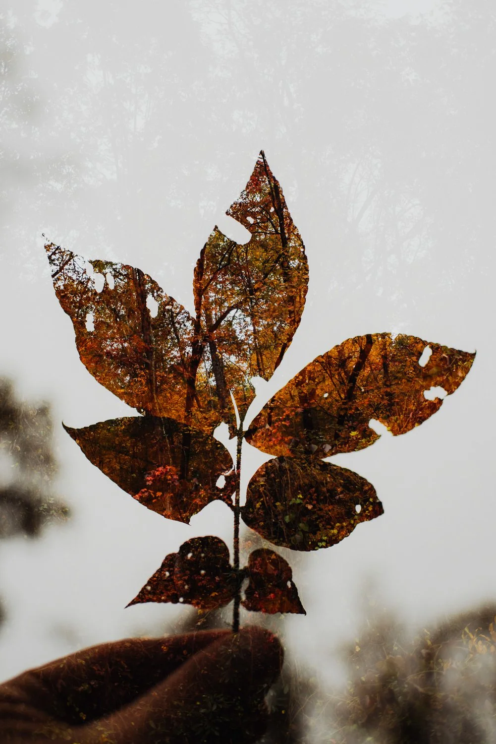 Professional portrait photography - double exposure photo