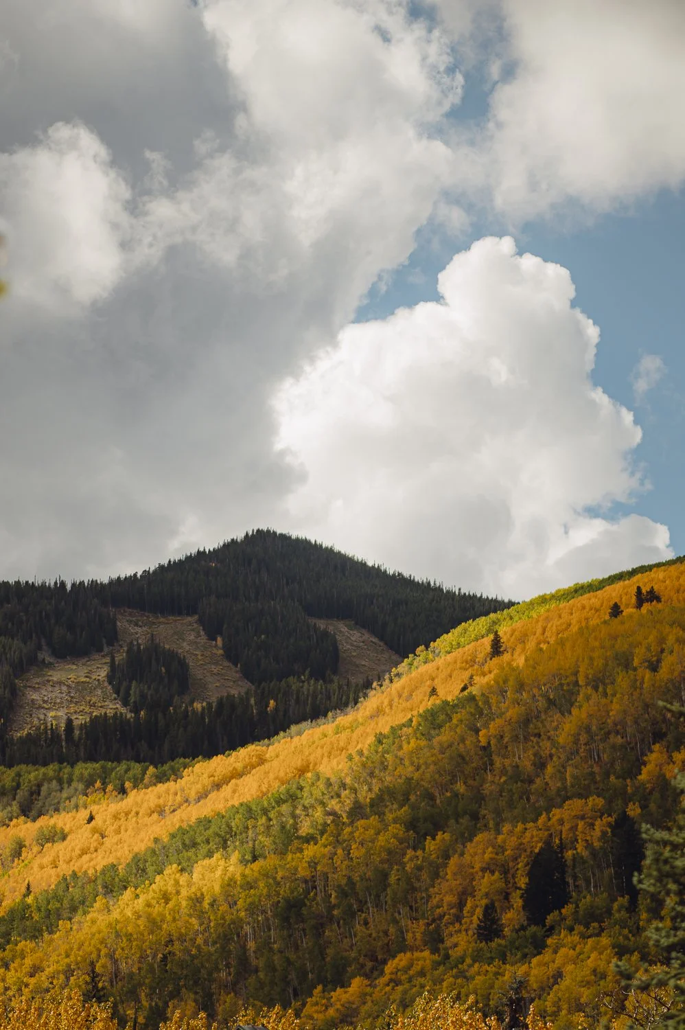 Ryan Waneka Photography Elevation Beaver Creek Country Music Festival-35.jpg