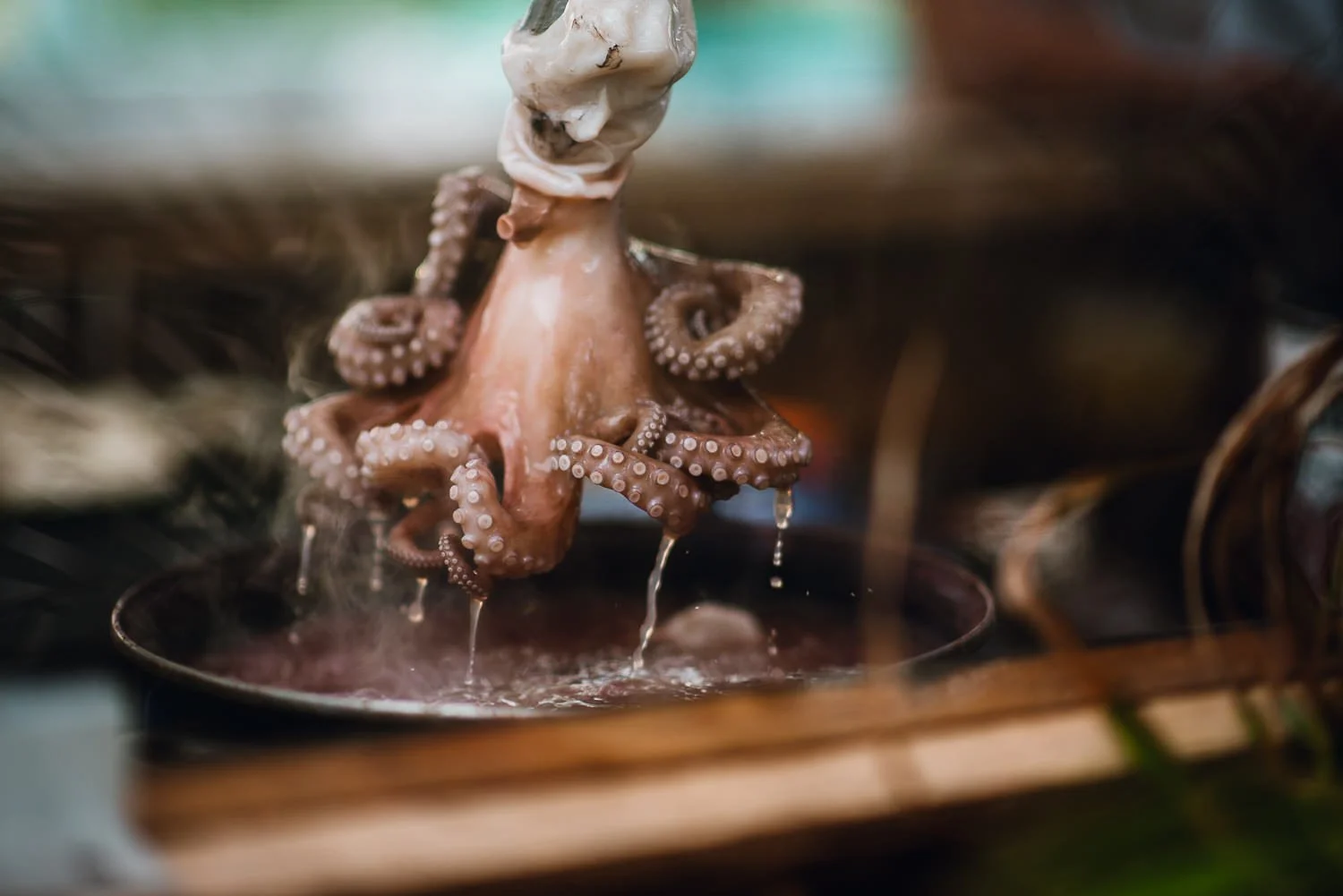 Ryan-Waneka-Photography-Travel-2021-Isla-Holbox-Mexico-42-fresh-octopus-calamari.jpg
