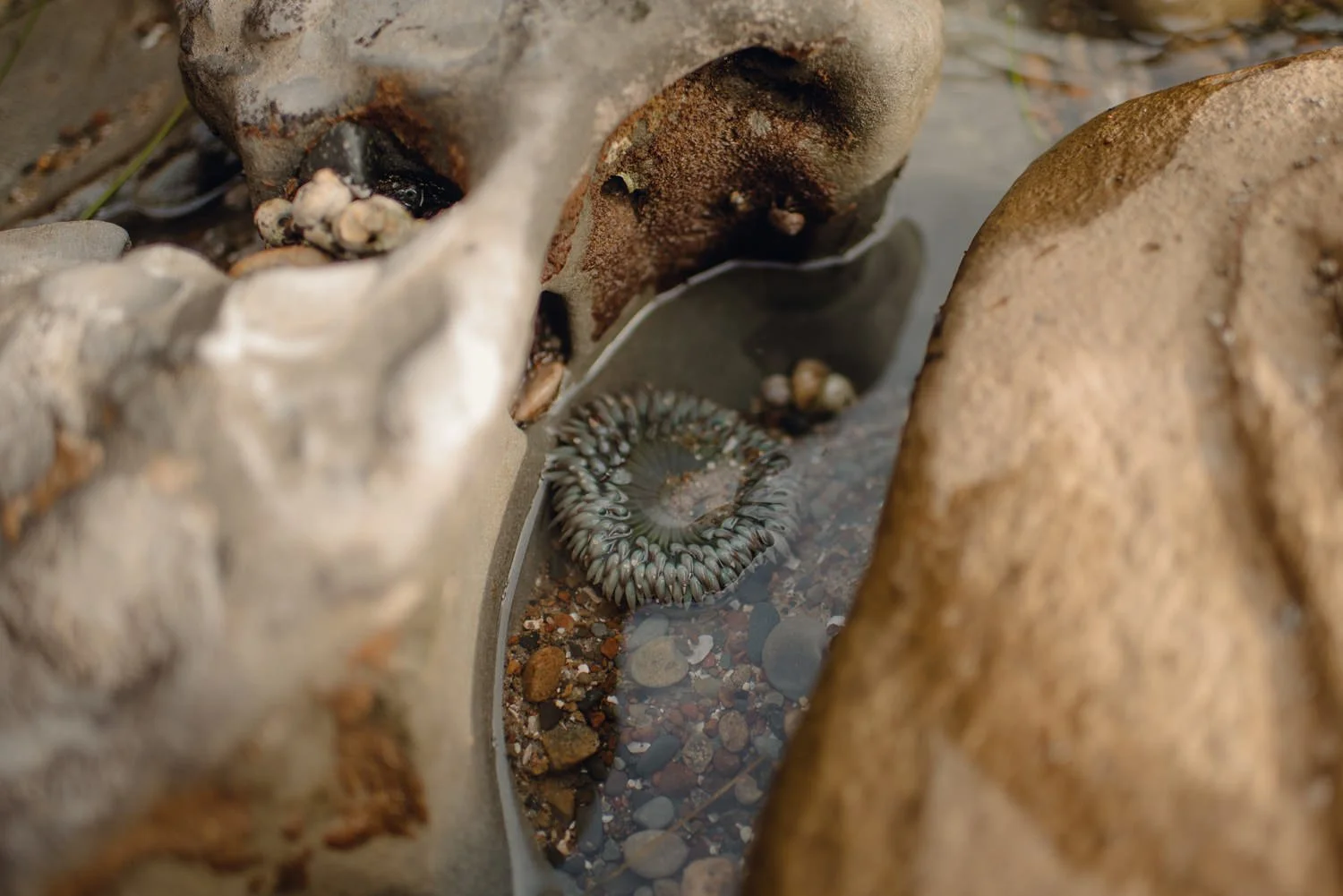 Professional lifestyle photography in San Diego, California