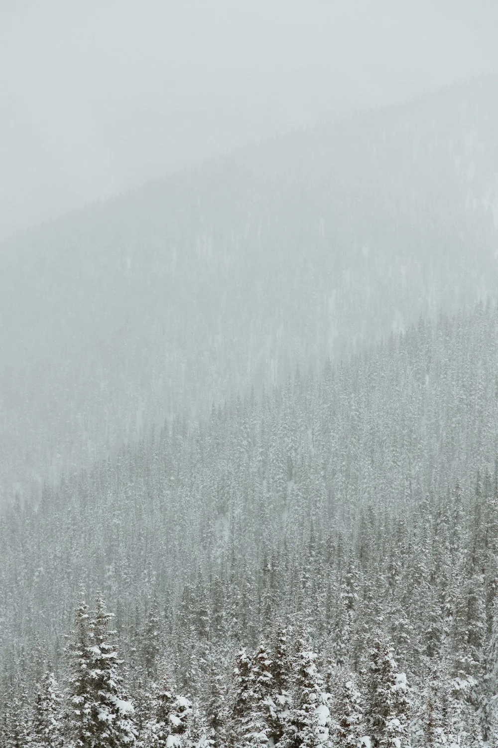 Landscape photography near Breckenridge, Colorado - snowshoeing winter hut trip