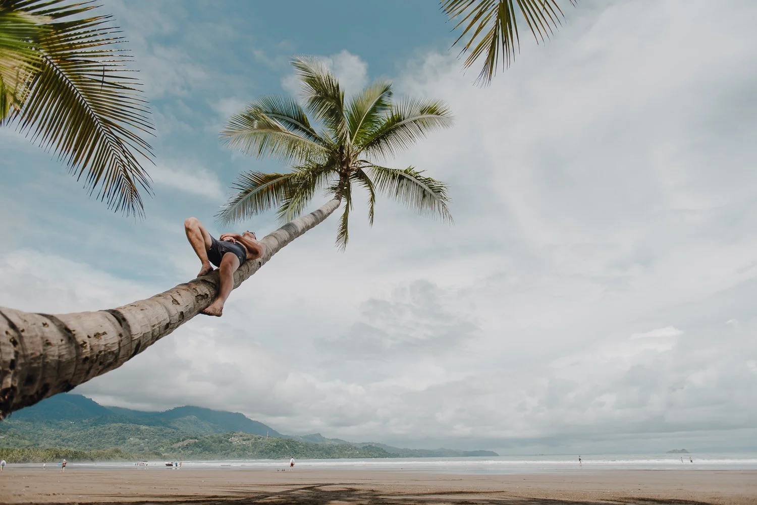 Travel lifestyle photography of a guy sitting in a palm tree at Whale Tail beach in Uvita, Costa Rica