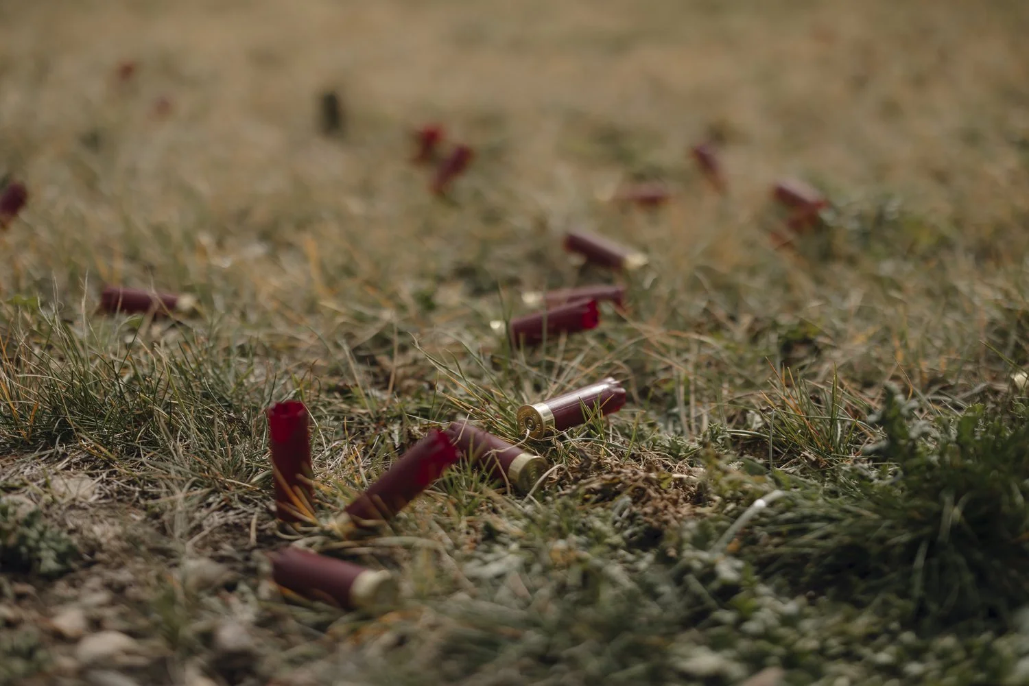 Ryan Waneka Photography Elevation Beaver Creek Country Music Festival 2023-57.jpg