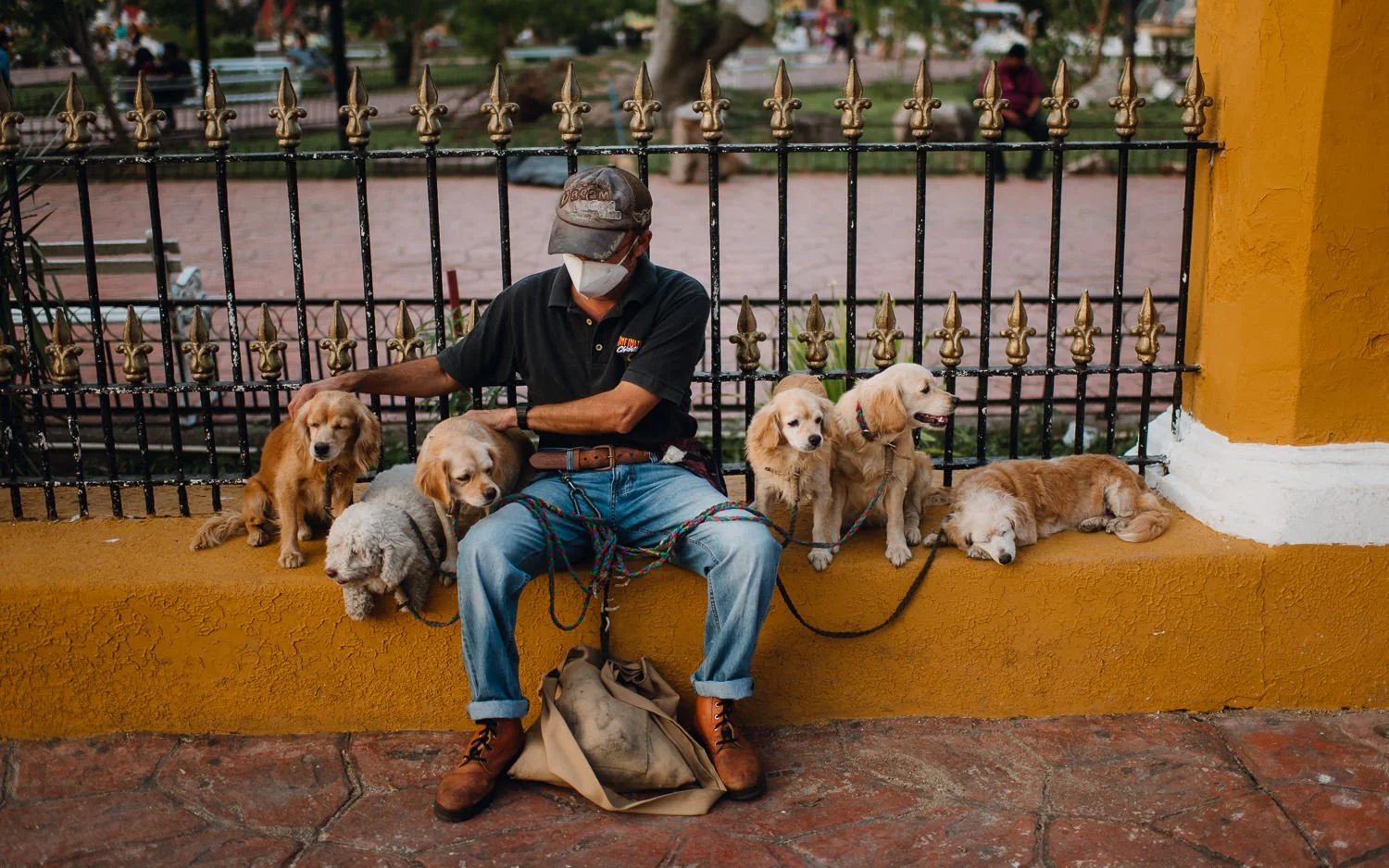 Professional travel photography near Tulum, Mexico - Valladolid lifestyle photography dogs