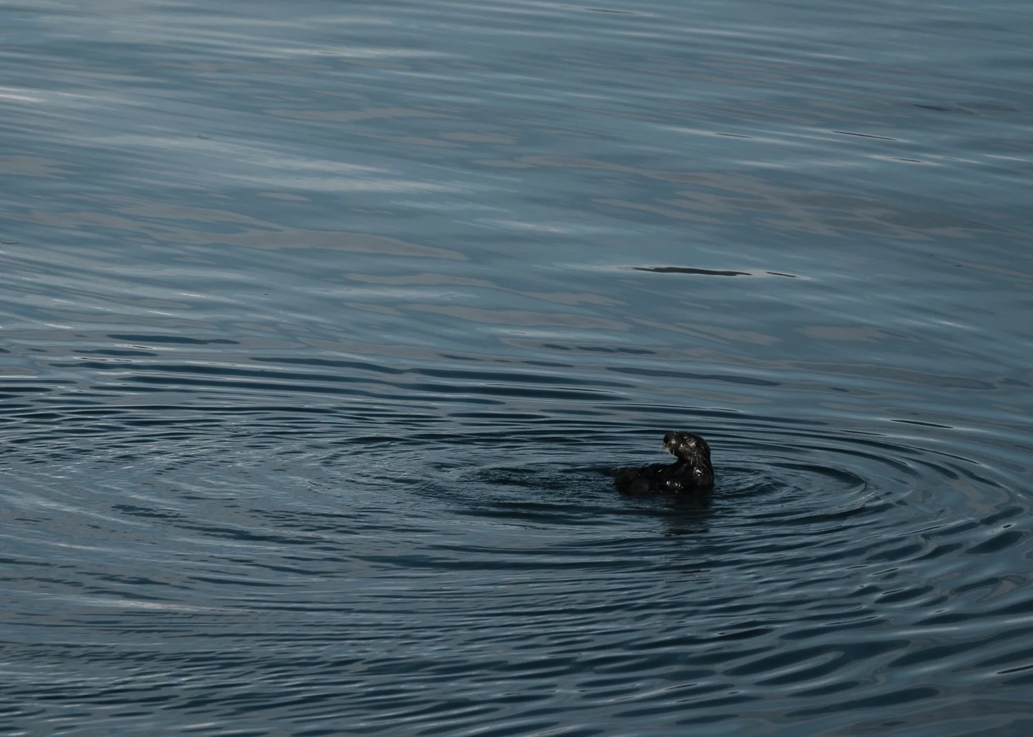 Ryan Waneka Photography Travel Visit Alaska Adventure-23.jpg