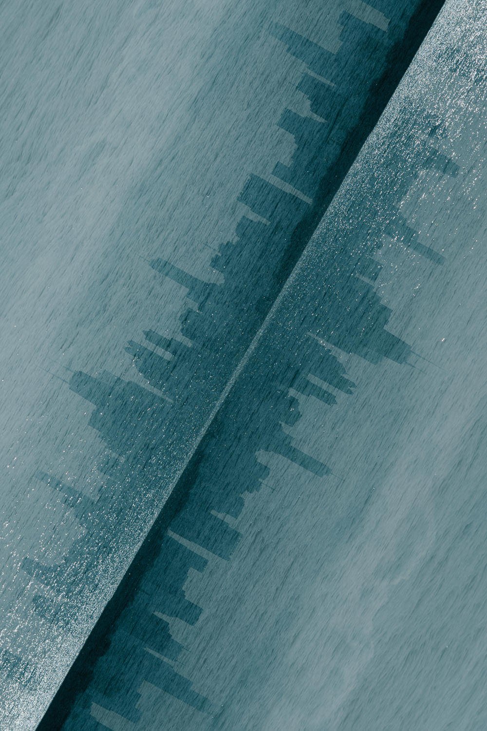 Professional portrait photography - double exposure photo