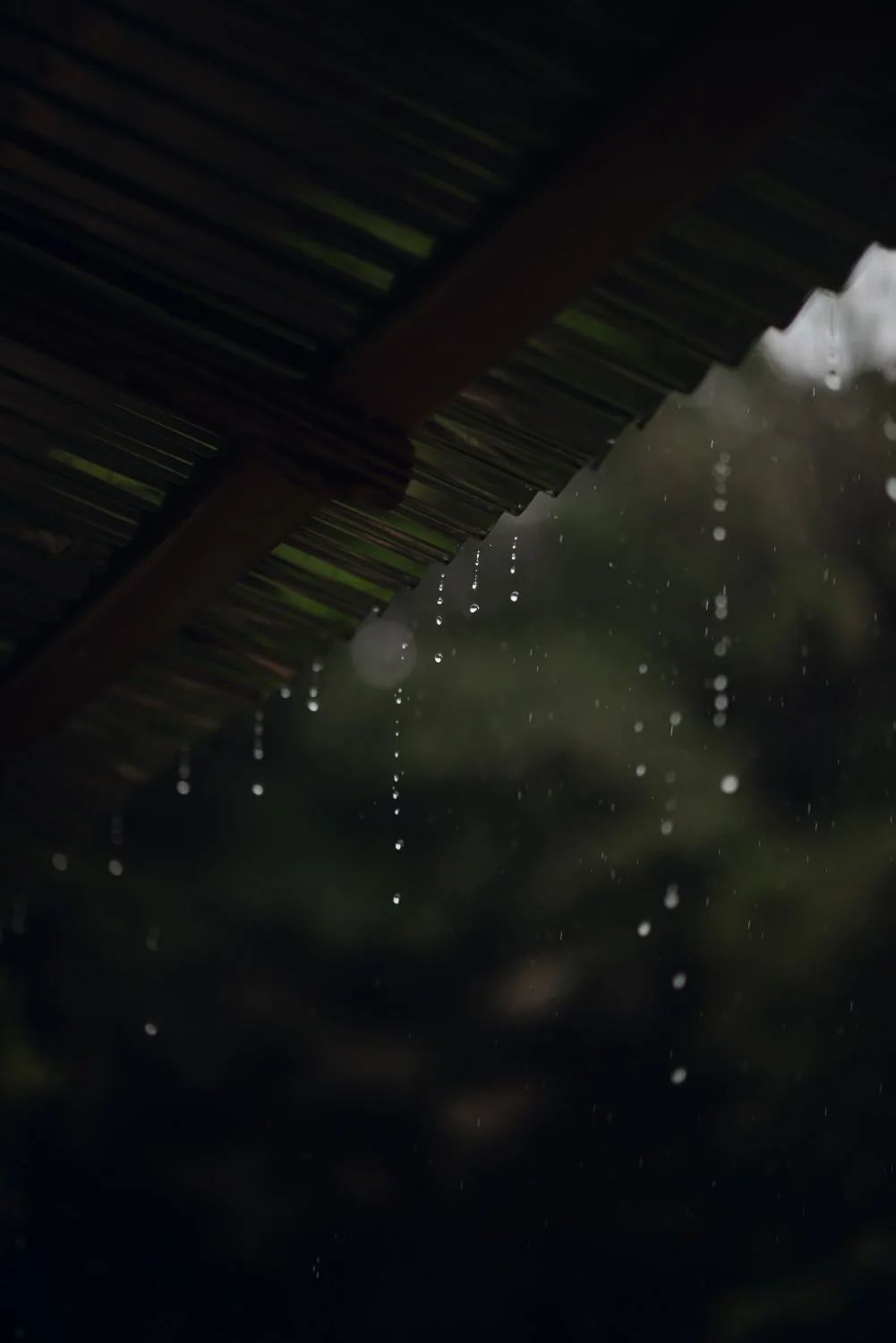 Travel photography of rain dripping off a roof in Uvita, Costa Rica