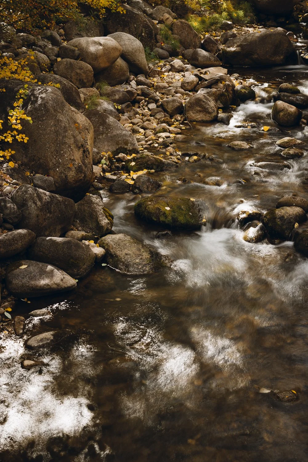 Ryan Waneka Photography Elevation Beaver Creek Country Music Festival 2023-1.jpg