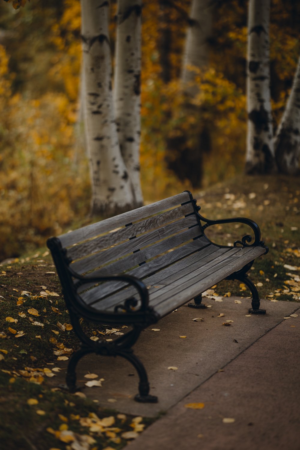 Ryan Waneka Photography Elevation Beaver Creek Country Music Festival 2023-3.jpg