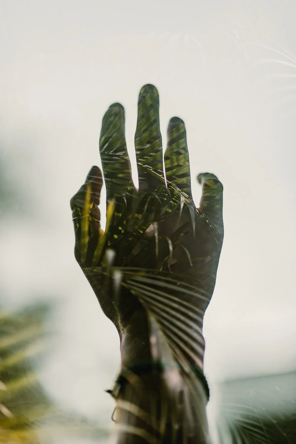 Professional travel photography in Tulum, Mexico - palm leaves creative double exposure photography