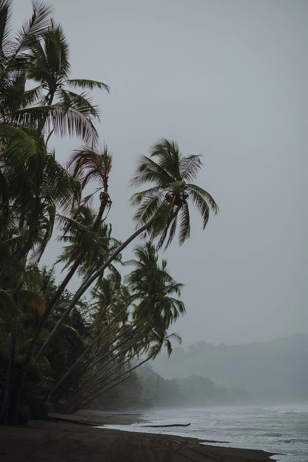 Travel photography of a foggy beach in Uvita, Costa Rica