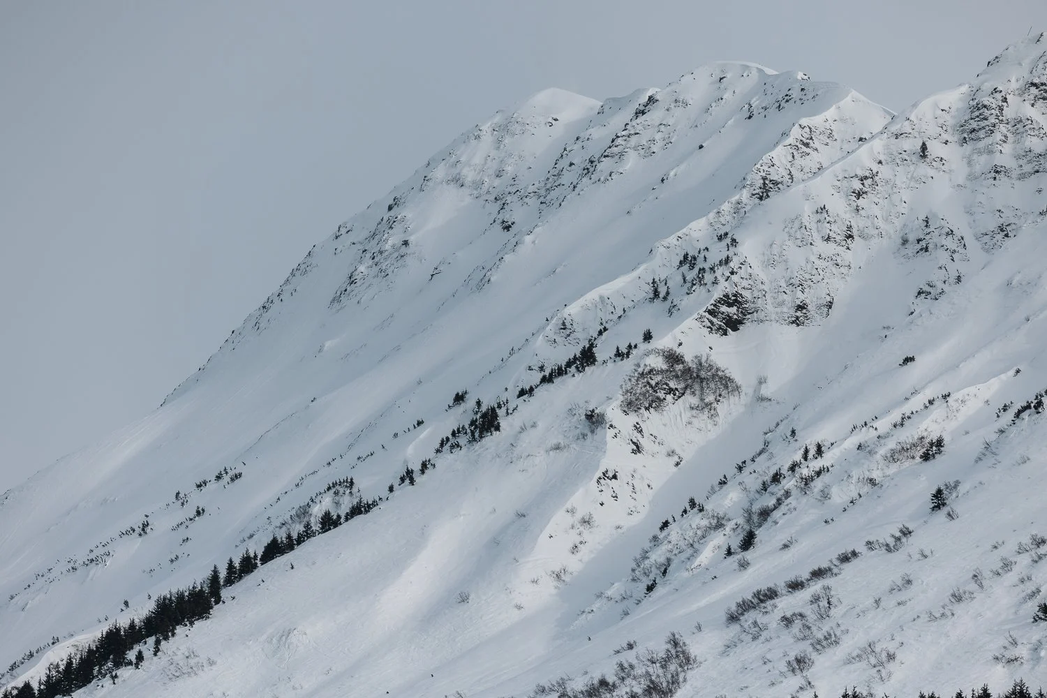 Ryan Waneka Photography Travel Visit Alaska Adventure-2.jpg