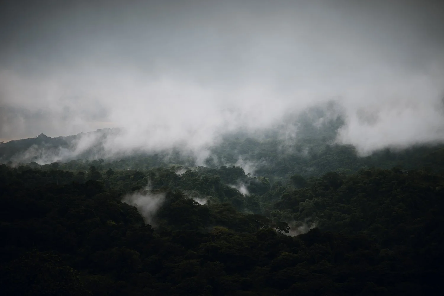 Landscape photo of the cloud forest in La Fortuna, Costa Rica