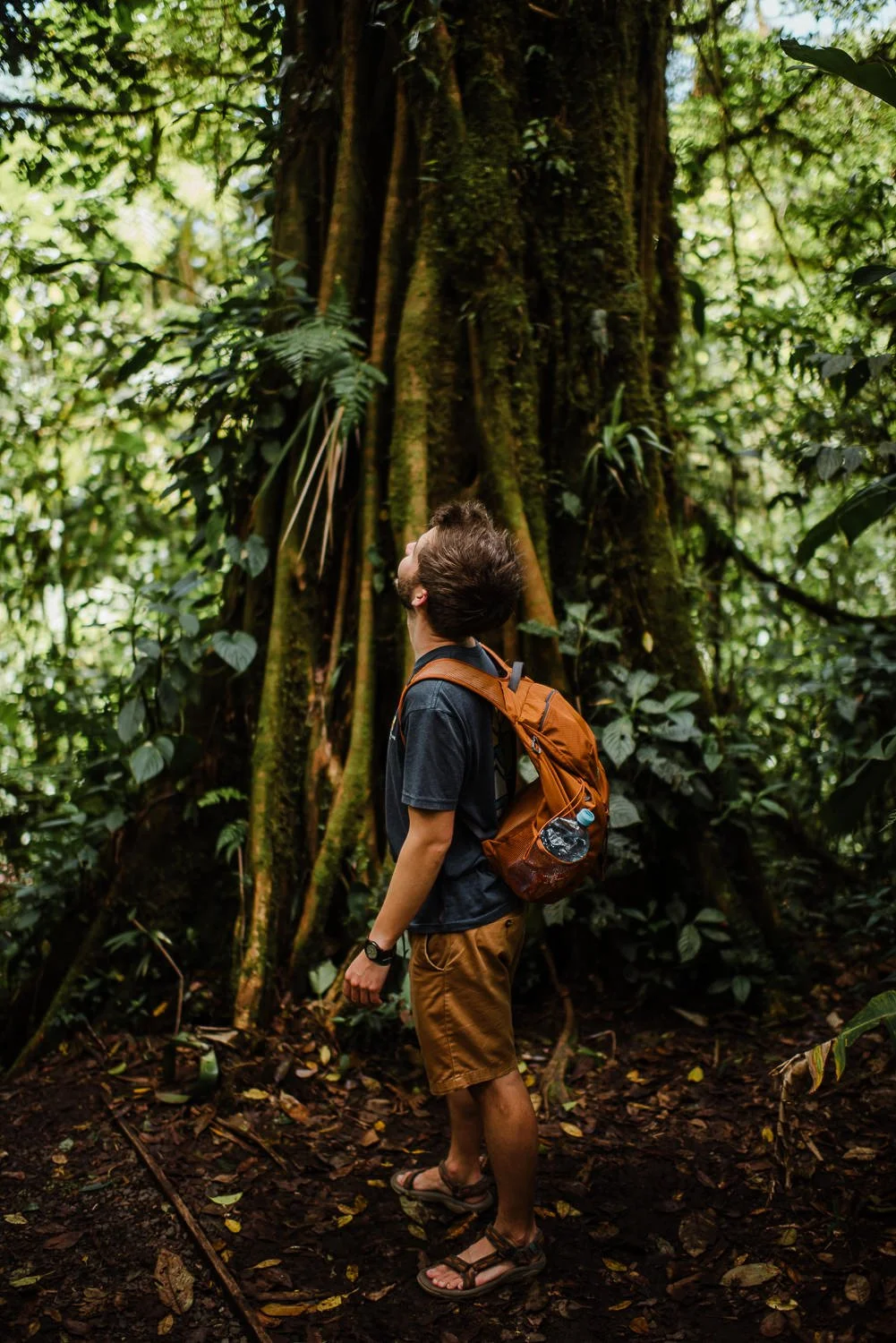 travel photograph of a young hiker exploring on a trail in Monteverde cloud forest in Costa Rica