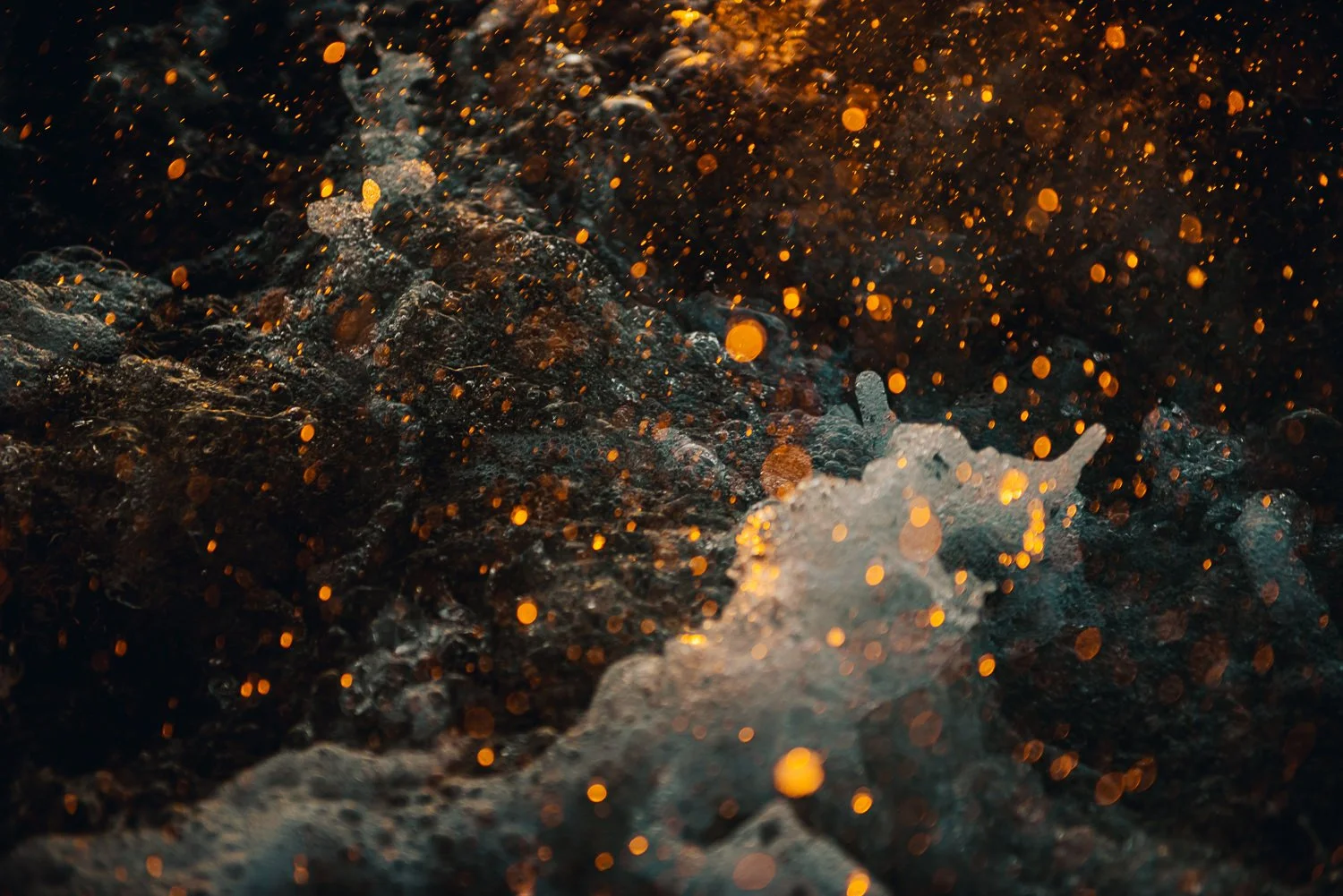 Professional travel photography in Cannon Beach, Oregon