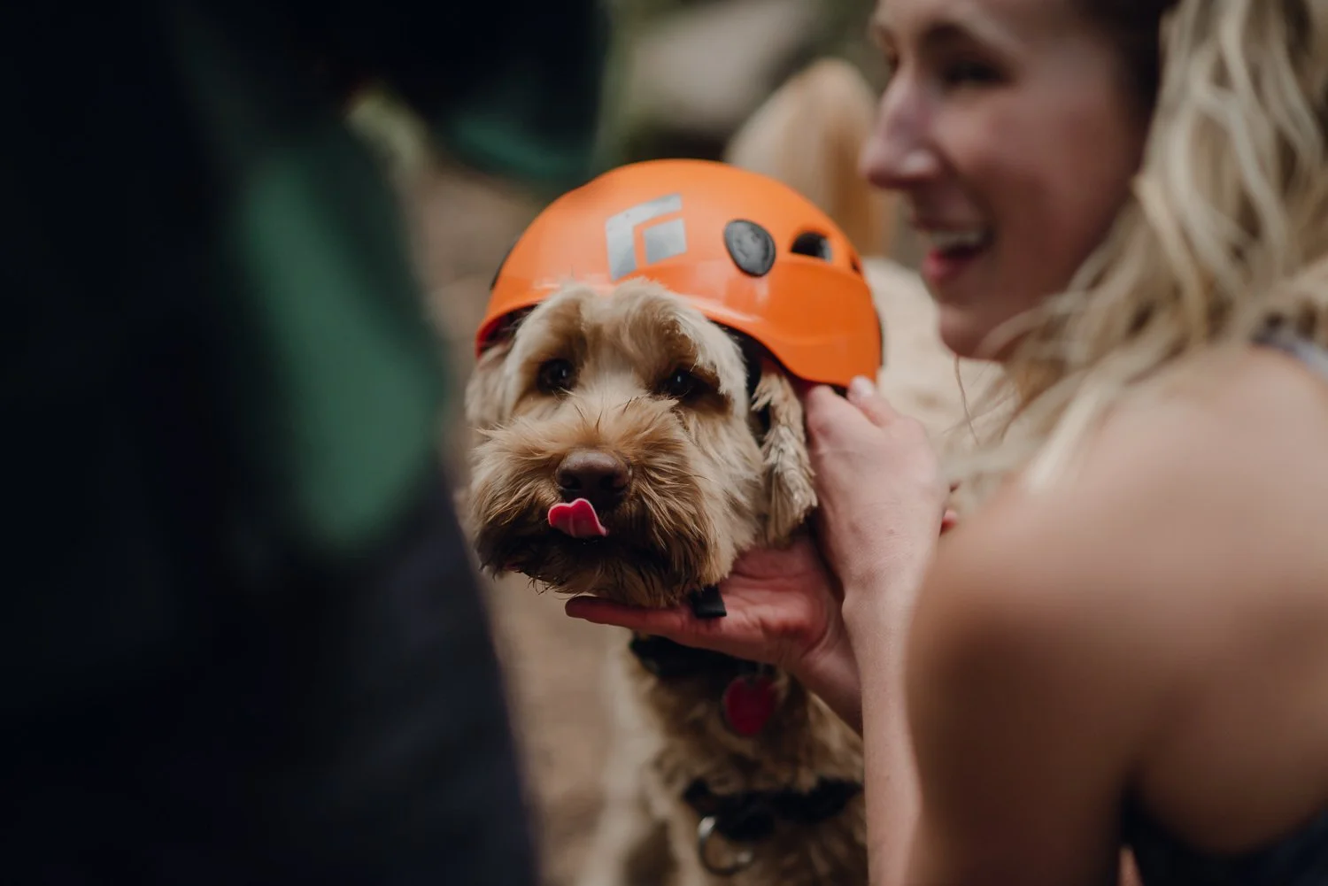 Professional adventure photography in Spokane, Washington - lifestyle portrait rock climbing dog wearing helmet