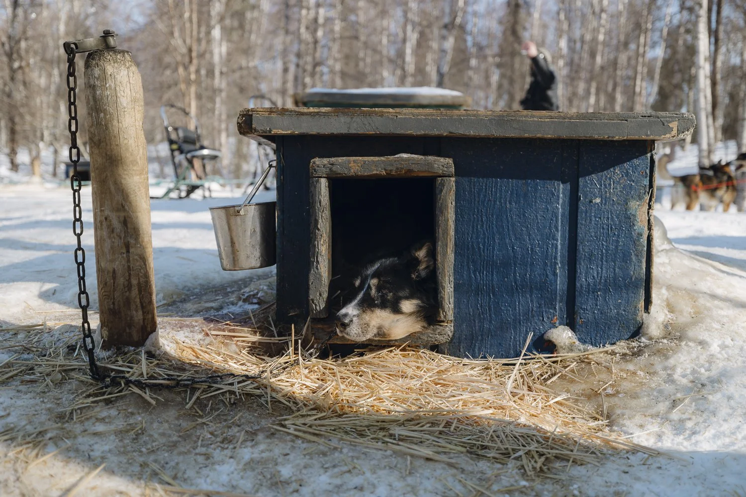 Ryan Waneka Photography Travel Visit Alaska Adventure-51.jpg