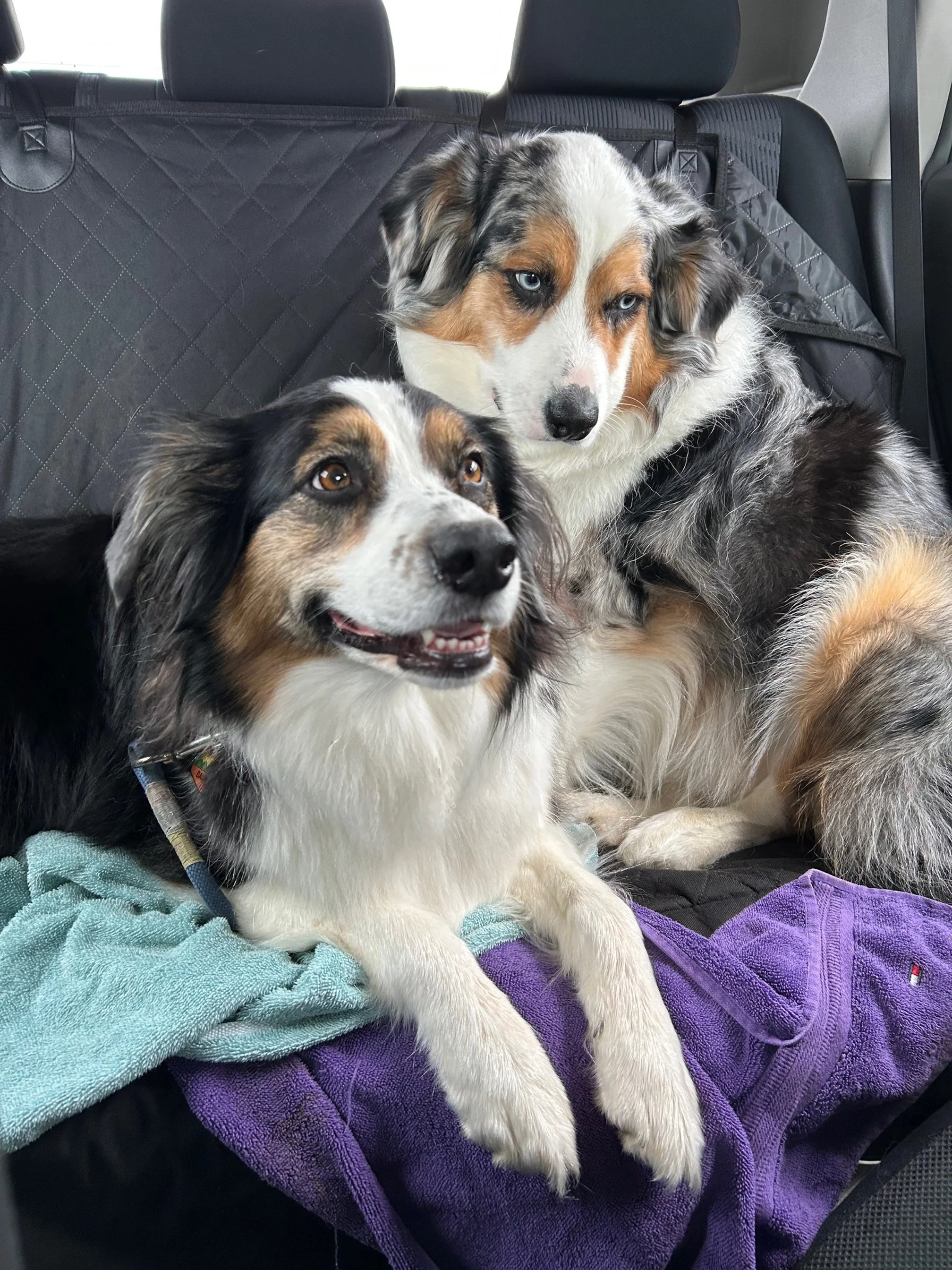 Keeping the Lights On.