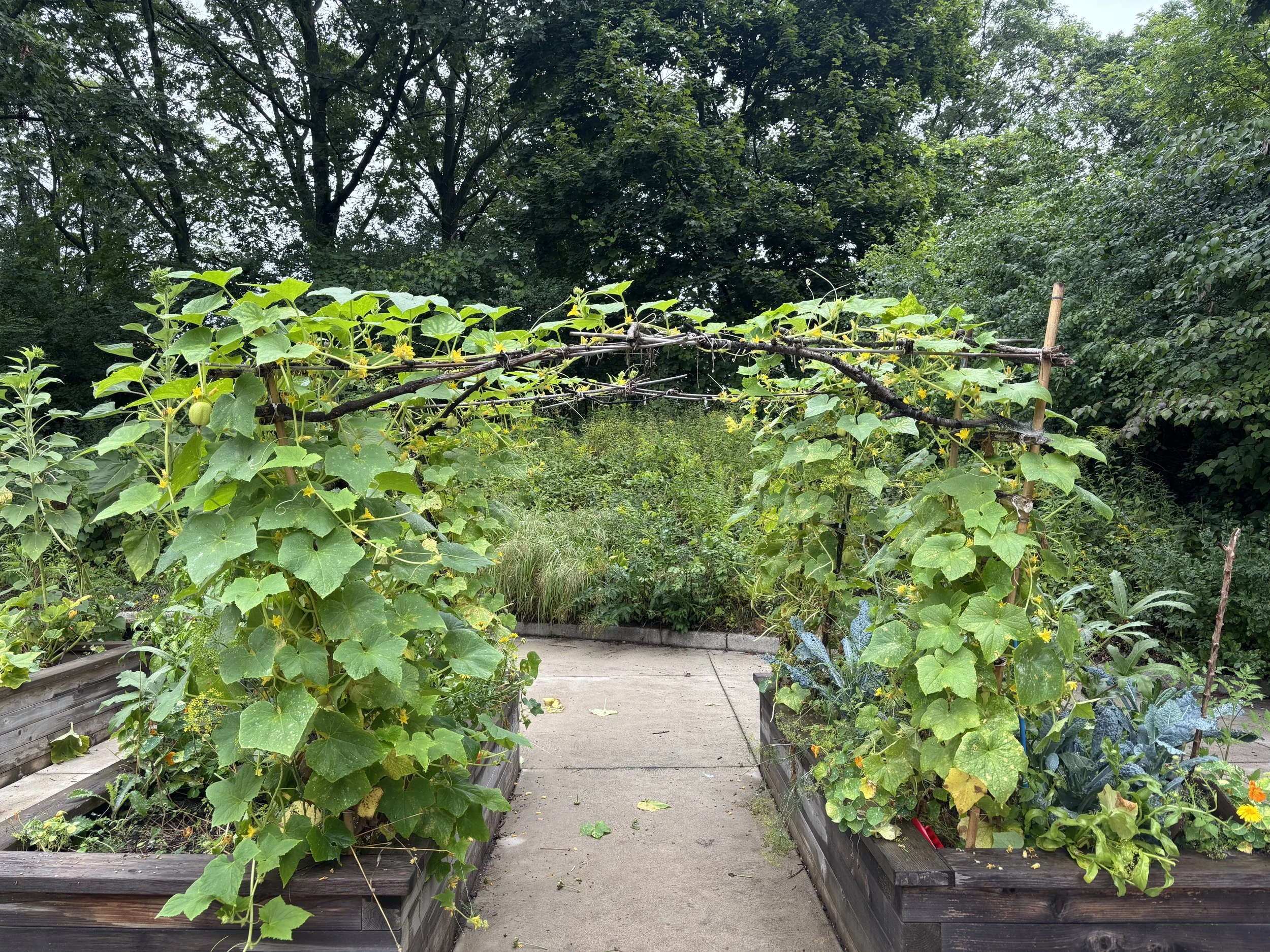 High Park Children's Garden & Kitchen