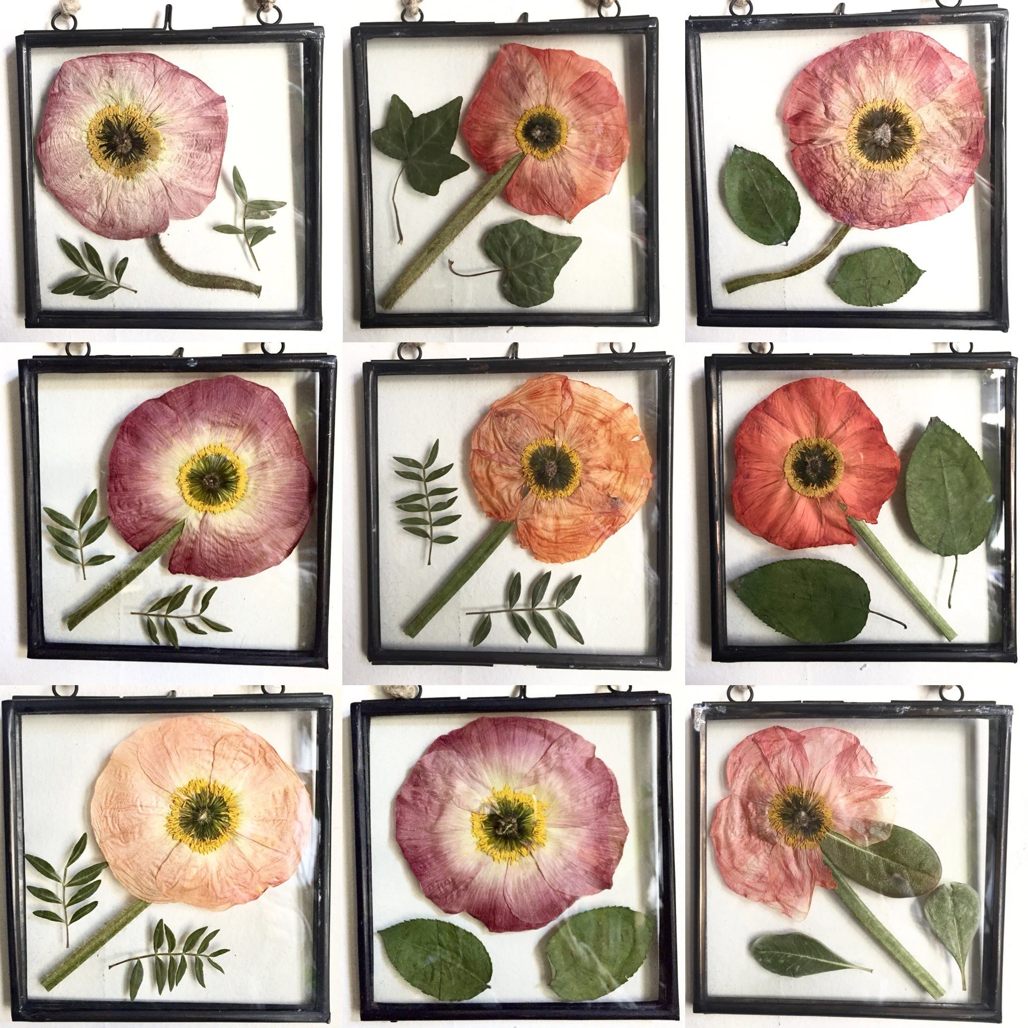 Botanical Frame 10.jpg