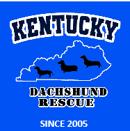 Kentucky Dachshund Rescue