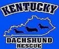 Kentucky Dachshund Rescue