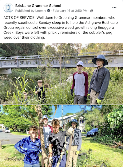 BGS_Organic social19.png
