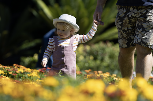 Photography - botanic gardens7.png