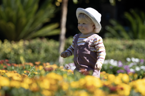 Photography - botanic gardens8.png