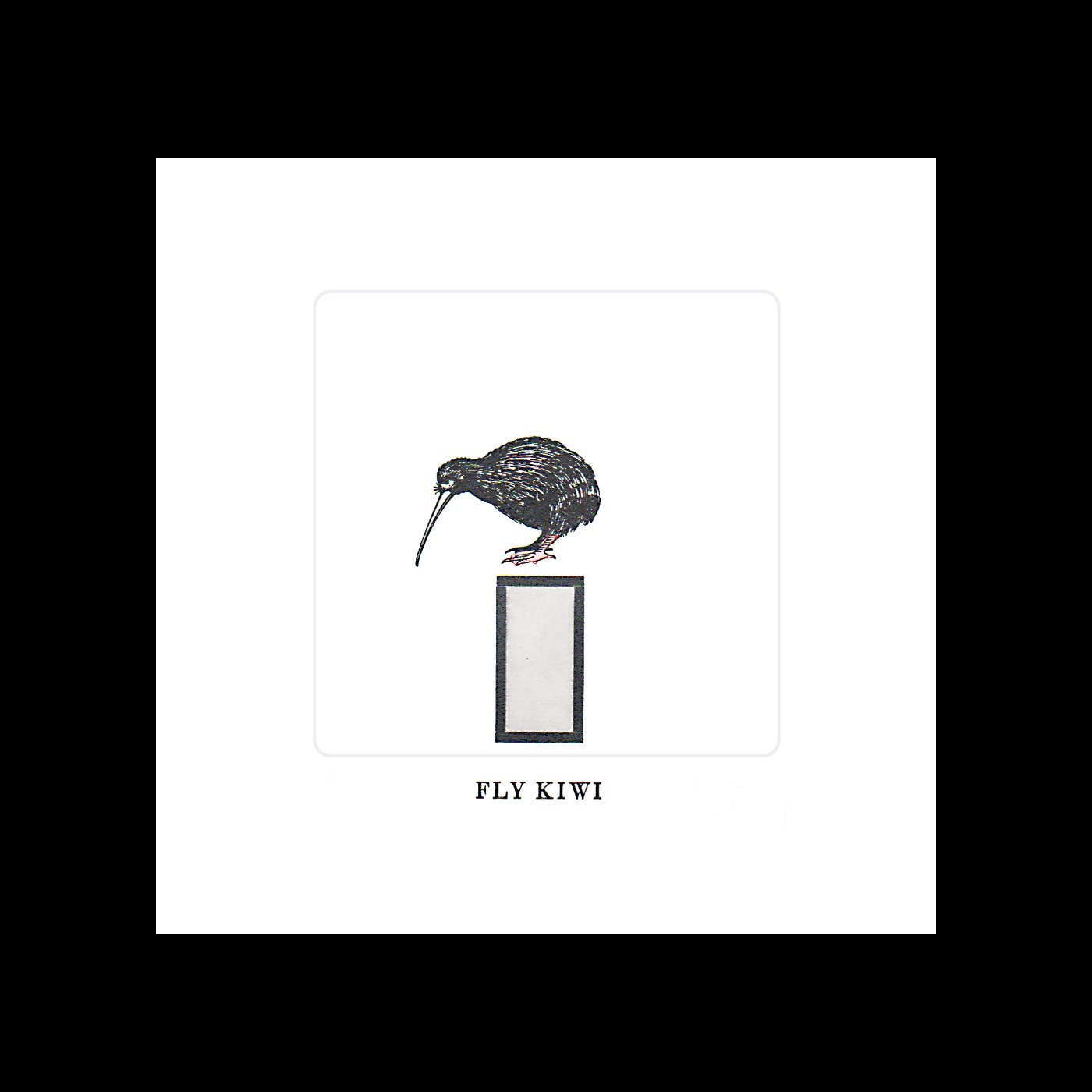 JEK_Fly Kiwi_BL.jpg