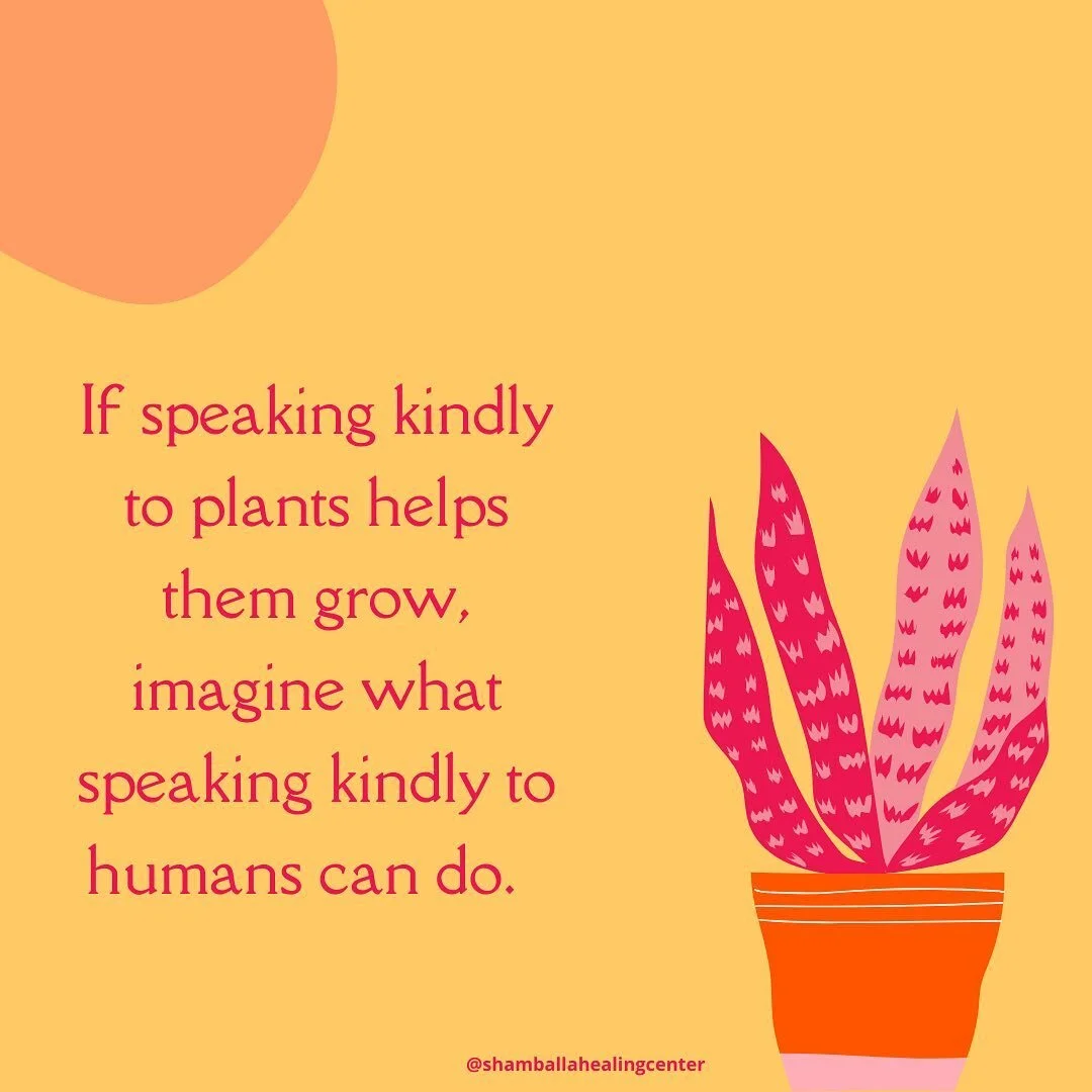 🌿🌱
.
.
.
.
.
.
#energyhealing #lightwork #meditation #yogi #ascension #energyhealer #reiki #reikimaster #thirdeye #enlightenment #capecod #yoga #energywork #shadowwork #chakra #aura #auricfield #auraclearing #energycenters #lifeactivation #auras