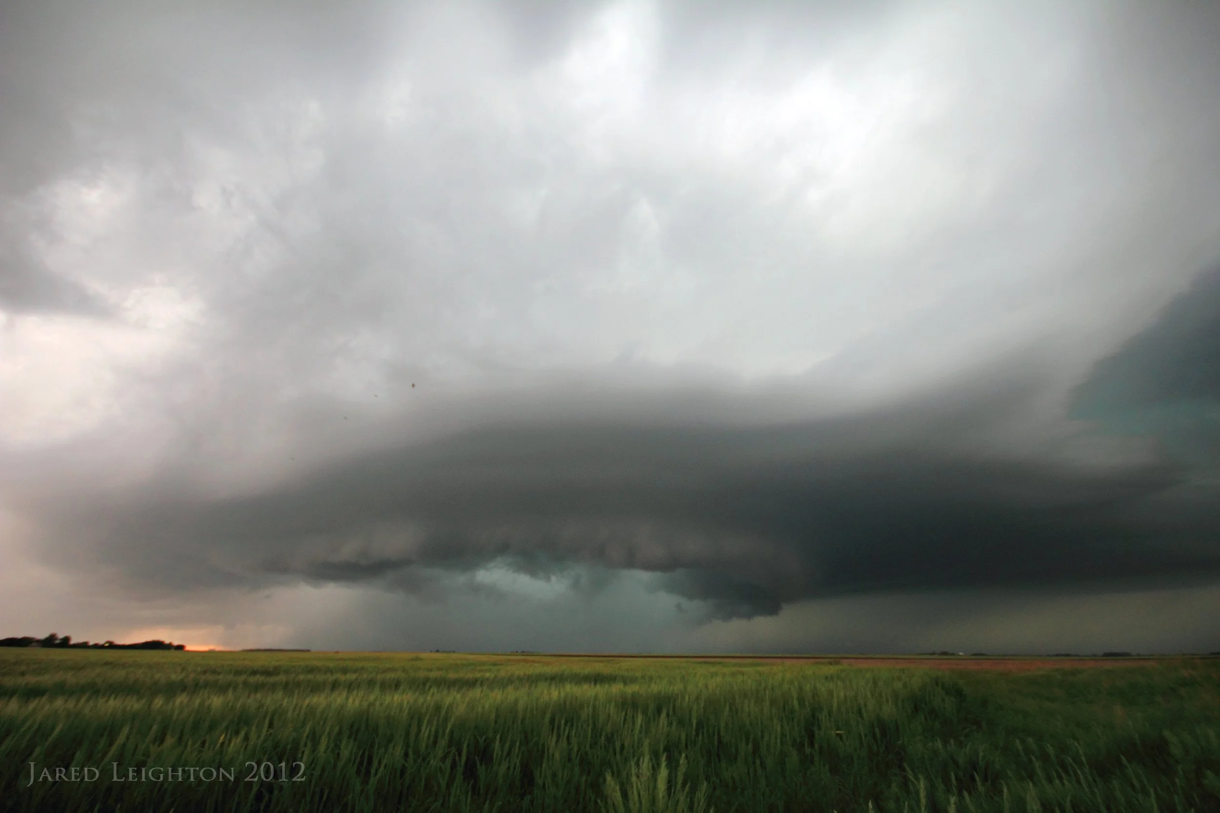 Wet RFD with shelf near Dodge City, Kansas