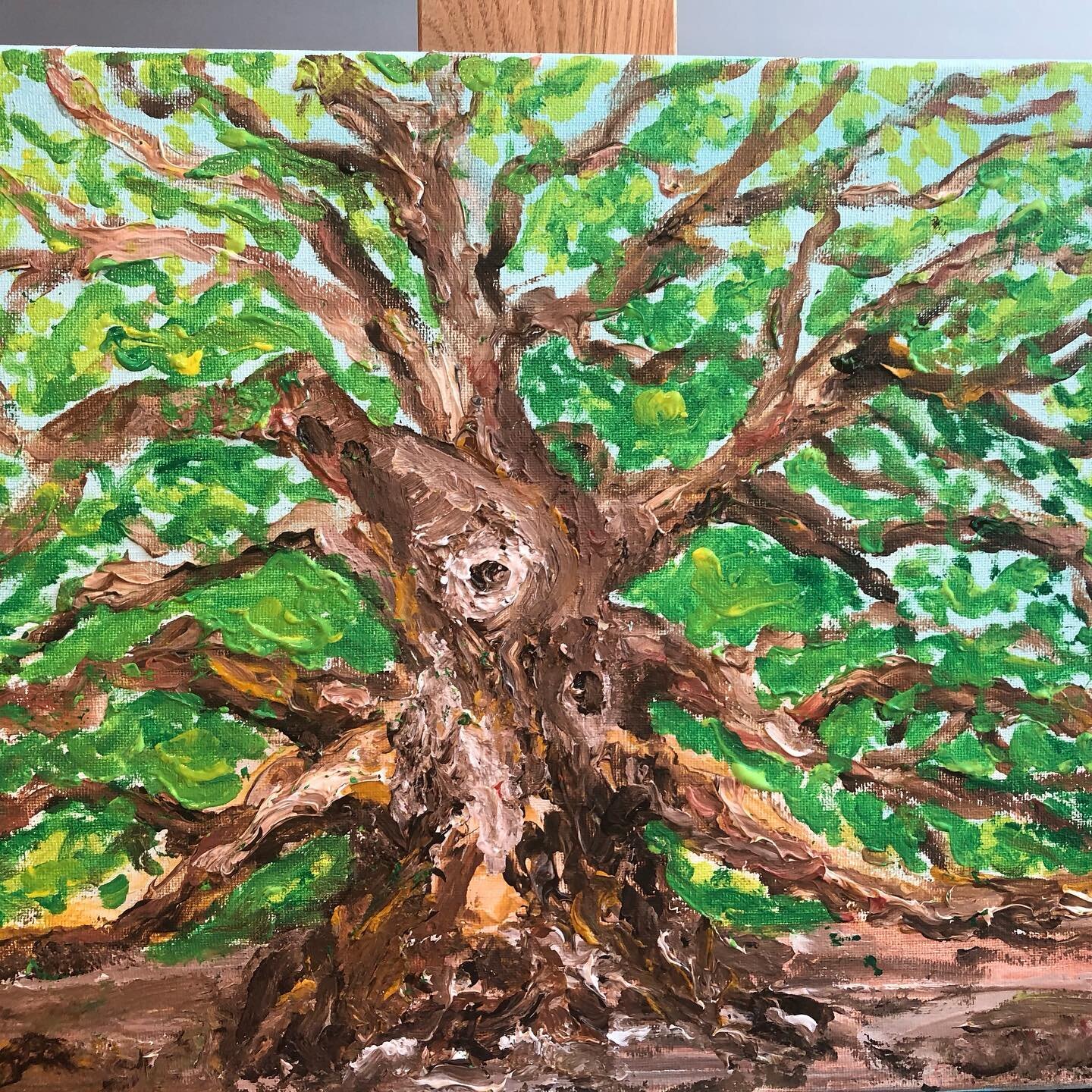 Angel Oak James Island Charleston SC-est. 400-500 years old-The Tree #angeloaktree #charlestonnightmarket #charlestonartistguild #charlestonartist #chsart #charlestontourism #charlestonsc #sweetgrassmercantile #coastalfolkart