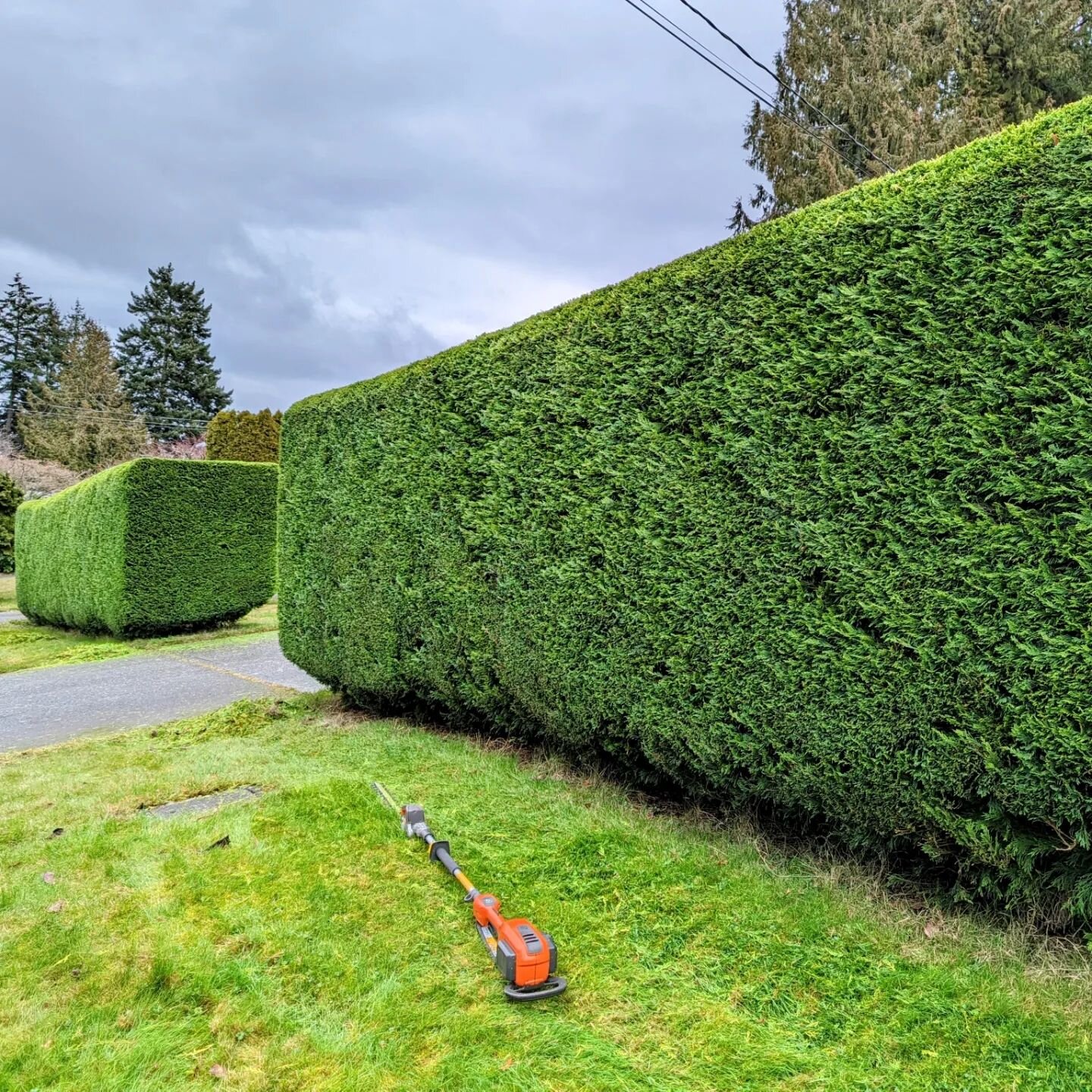 When was the last time you gave your hedges some TLC? 🌿💚 
Our hedge trimming service is here to help you maintain your outdoor aesthetic. 
From precise pruning to stunning shaping, we've got you covered!
.
.
.
#hedgegoals #gardening #outdoorliving 