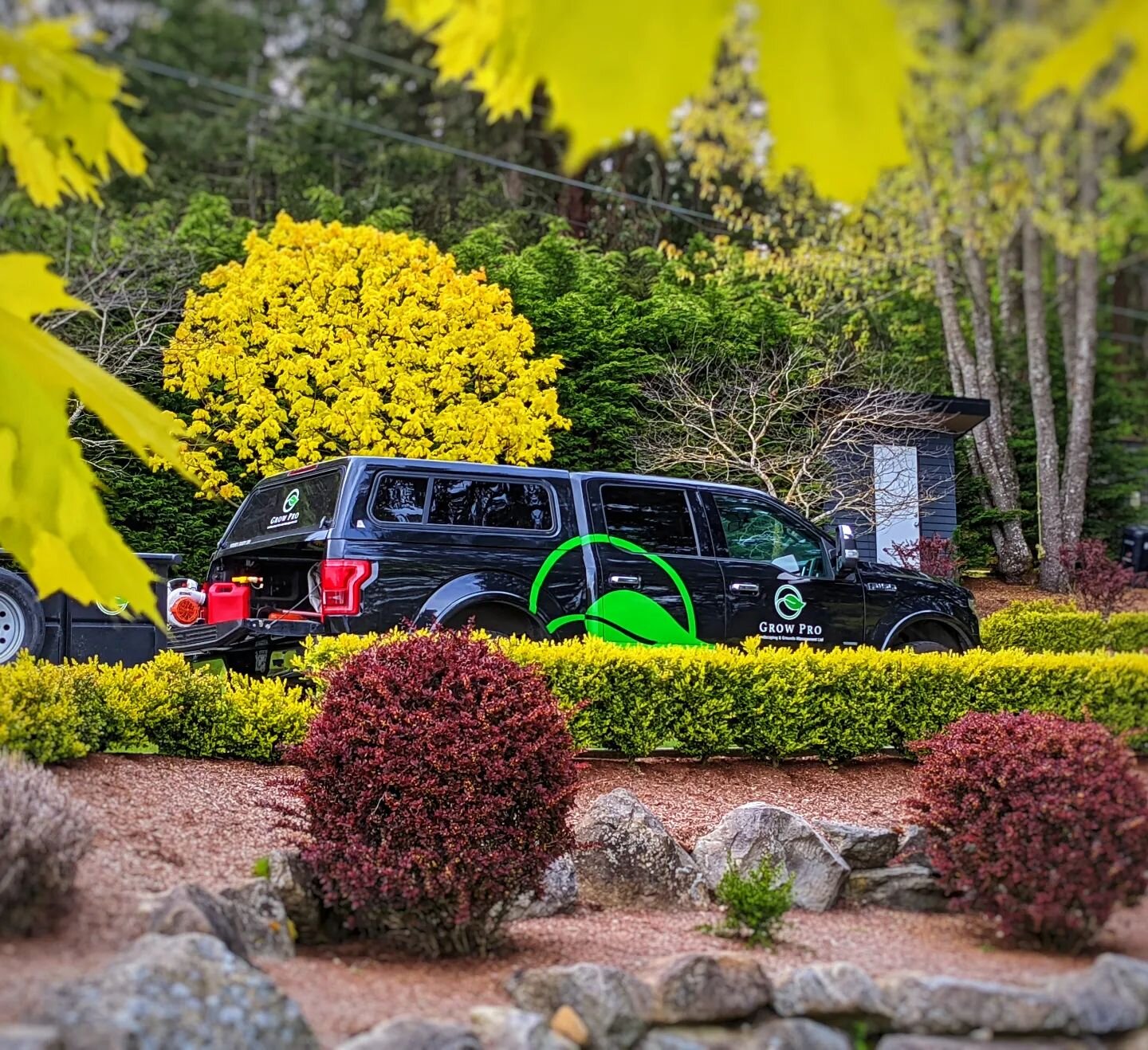 The truck nestled amongst the spring greens.
.
.
.
#landscaperlife #landscapernanaimo #landscapingnanaimo #spring #springfoliage #springgreens #smallbusiness #smallbusinessowner #smallbusinessnanaimo #worktruck #worktruckmafia #lawncarenation #lawnca