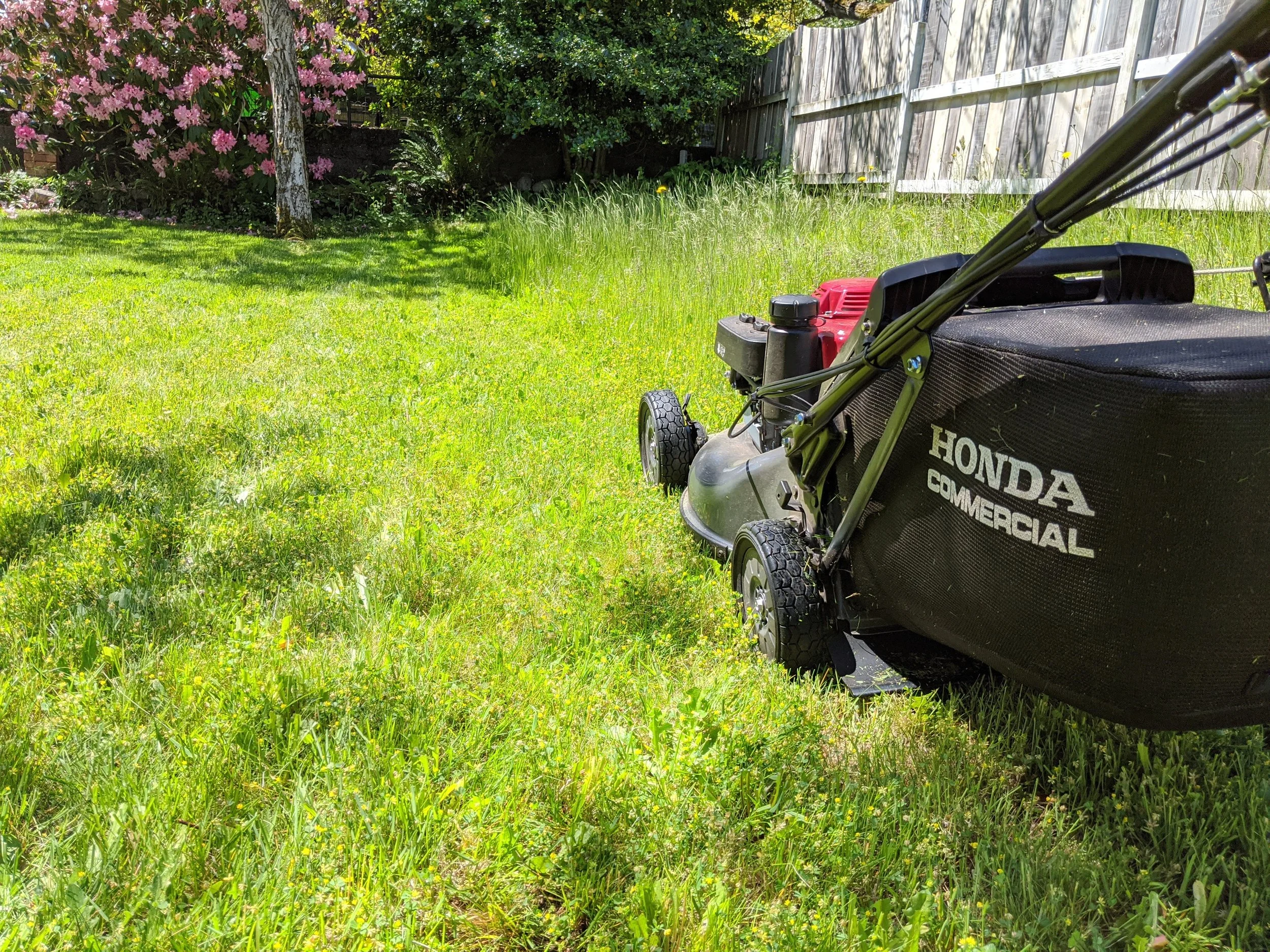 How Often Should Lawns Be Mowed in Nanaimo?
