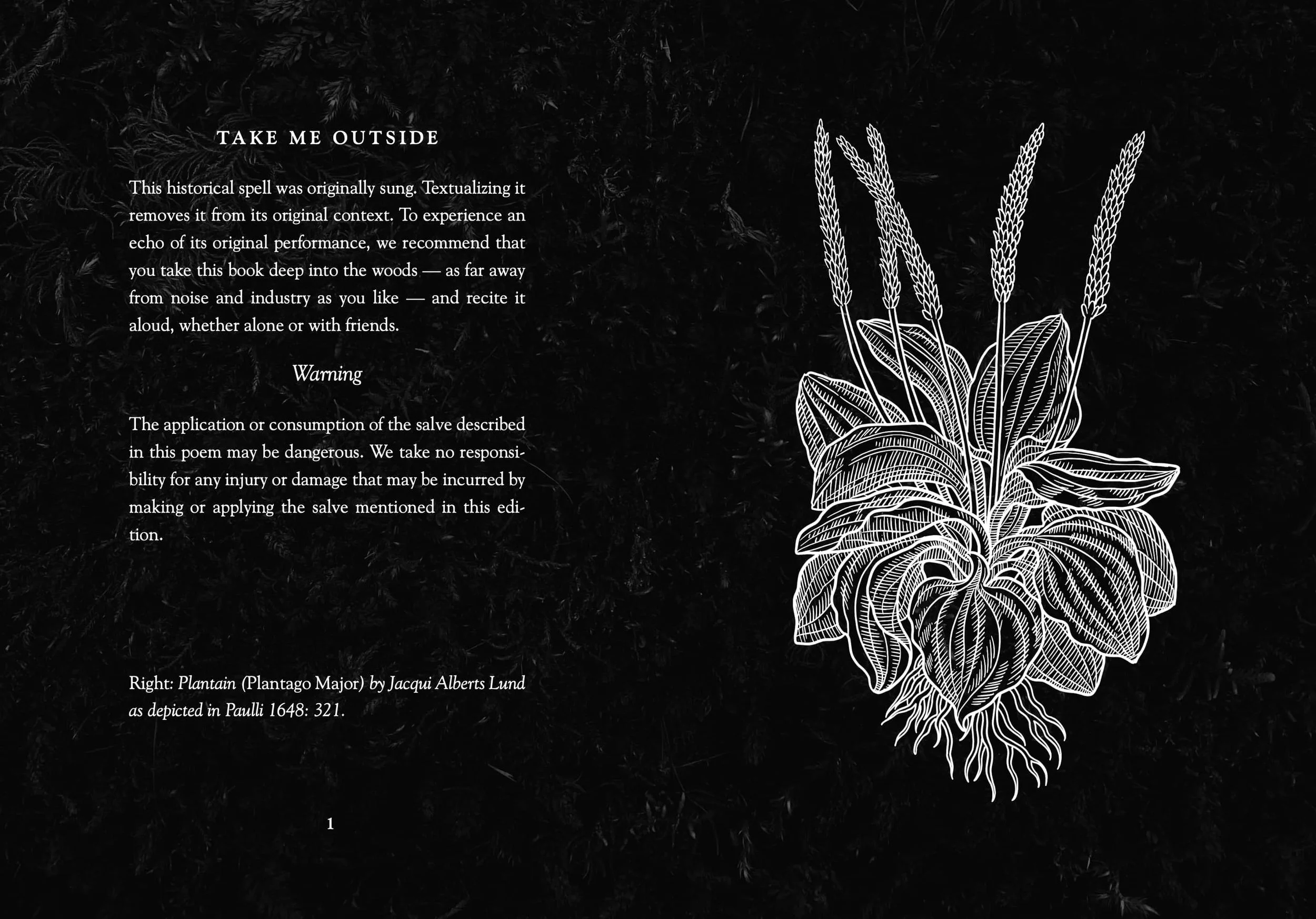 Instructions and warning page for the Nine Plants Spell