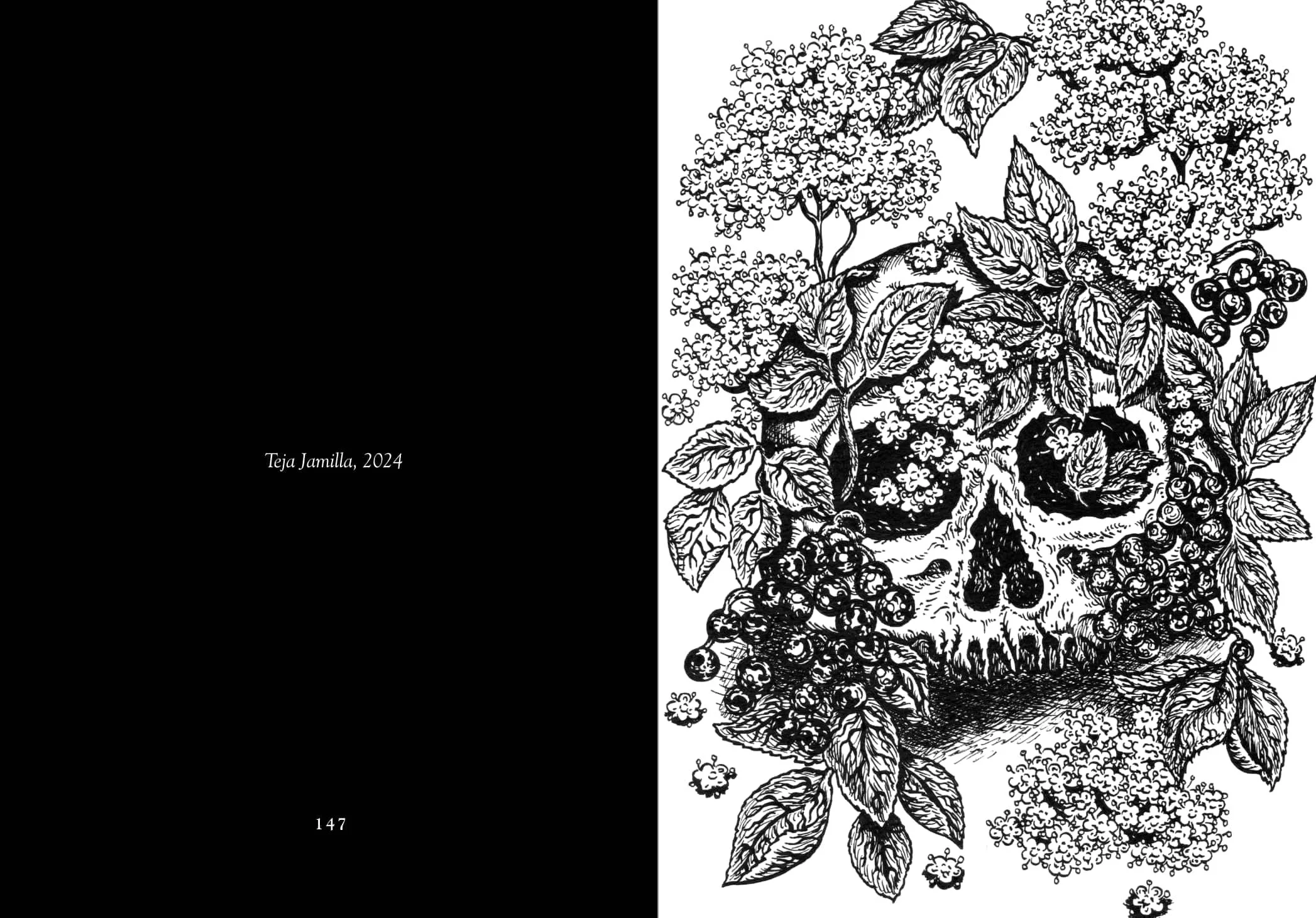 Lady-Elder-Tree-Ed-2-Internal-E-web.jpg