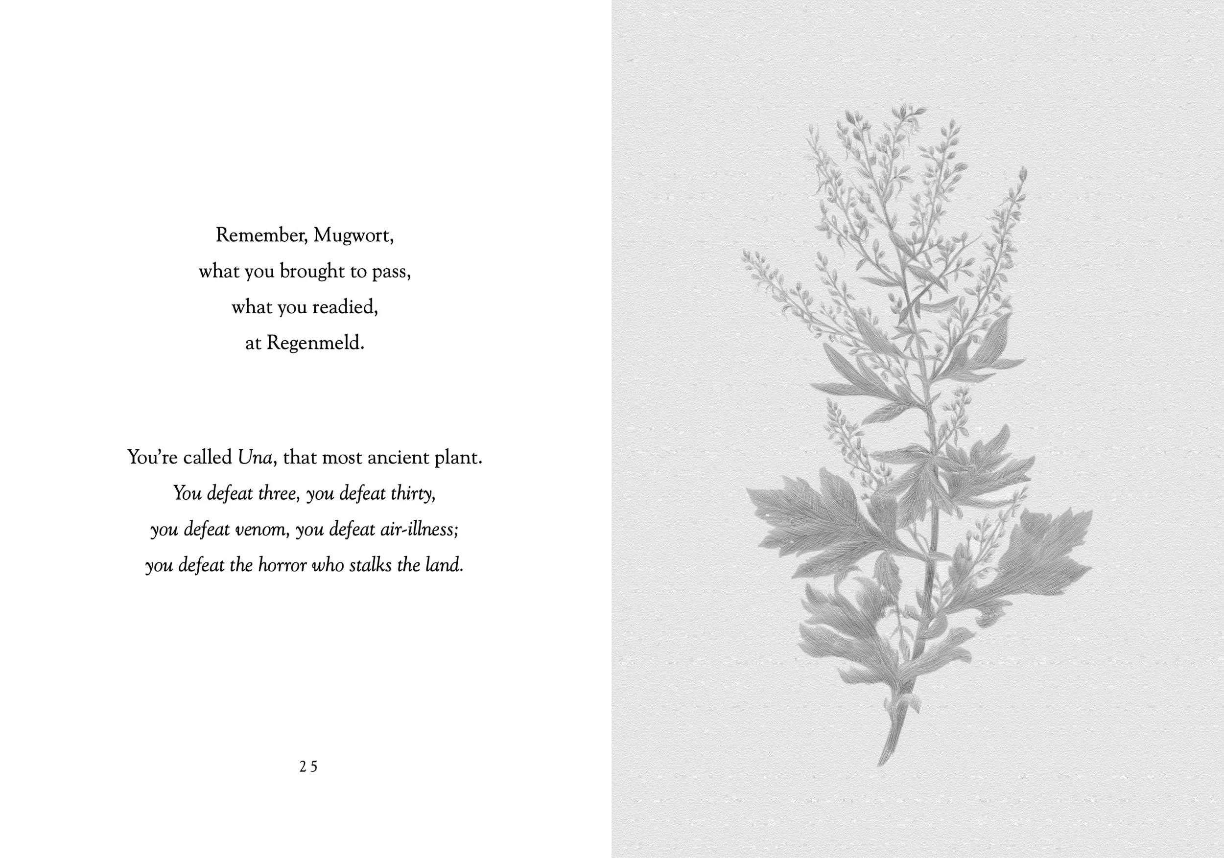 Two inner pages for the Nine Plants Spell