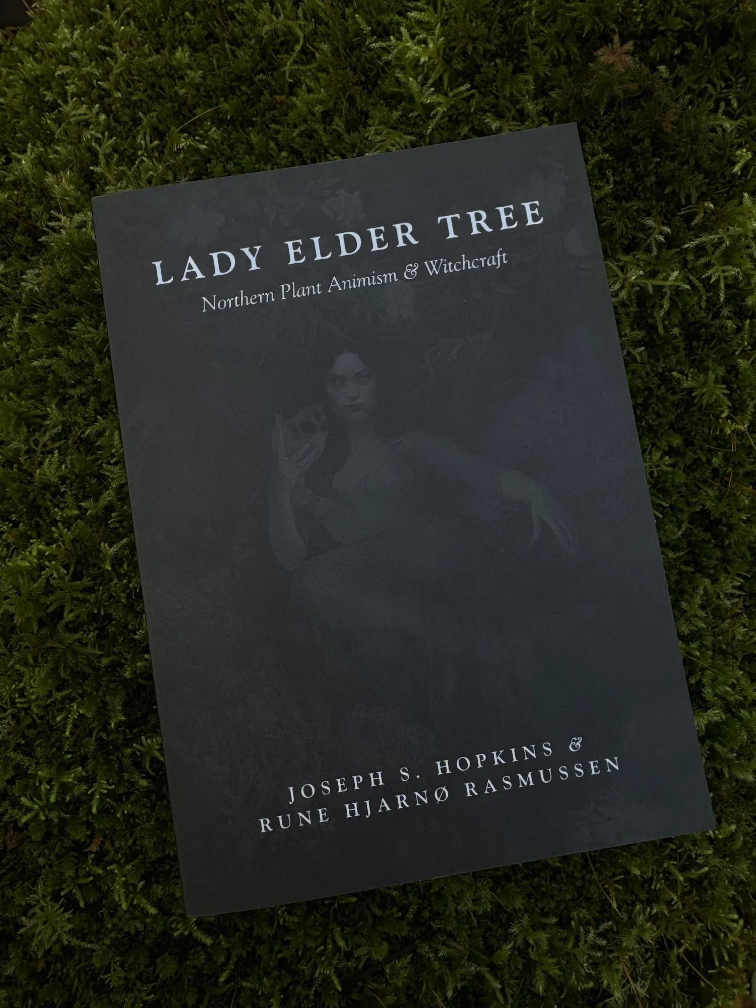 Photograph of cover of "Lady Elder Tree" volume II