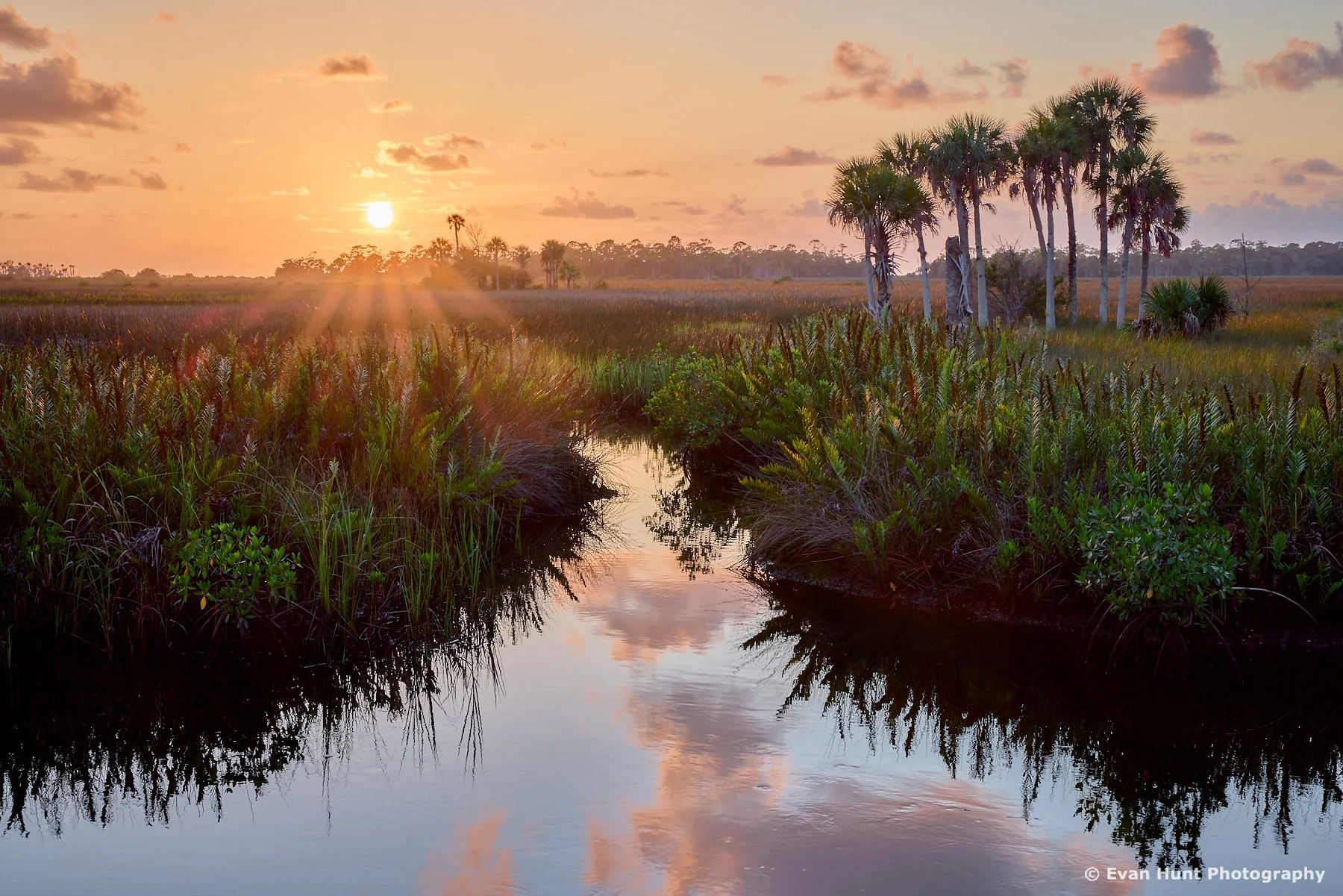Hernando Reflections