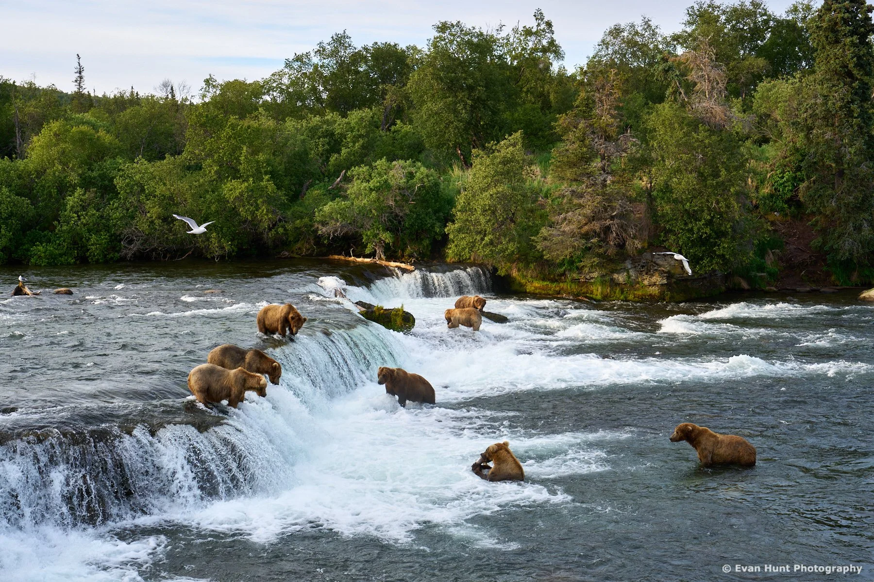 Icons of Katmai