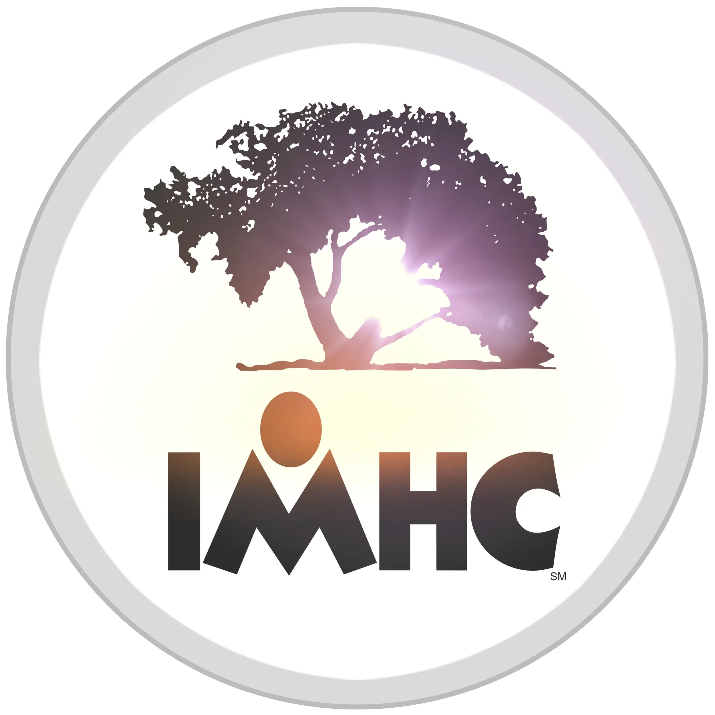 N-IMHC Logo (24x24).jpeg