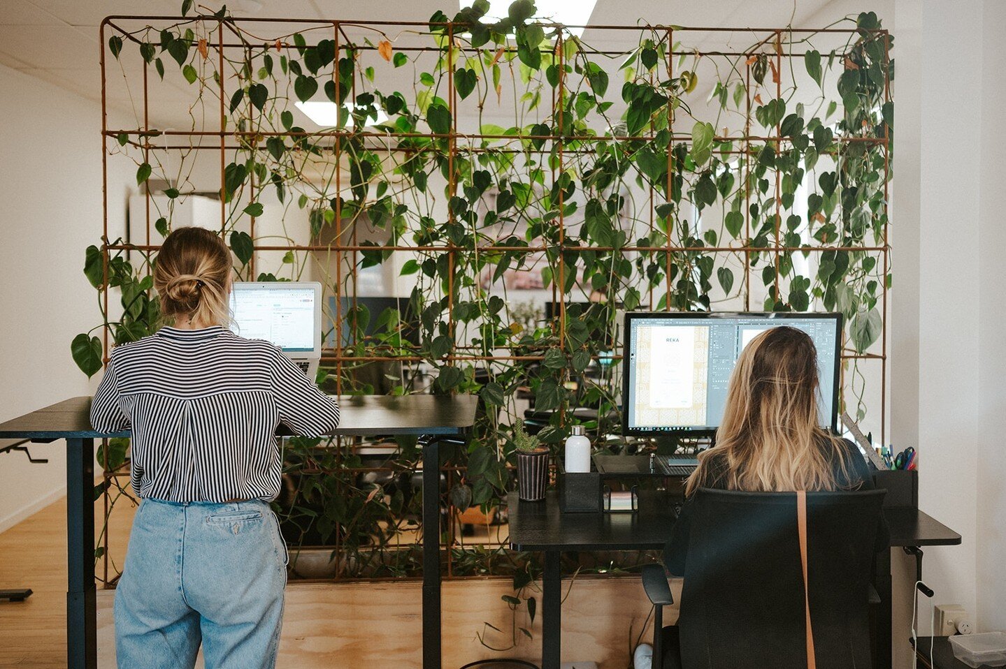 Sit or stand! There's nothing like a mid morning or afternoon reset by standing for an hour or so. All of our desks at BC Mount Maunganui &amp; Wanaka have the sit or stand option.