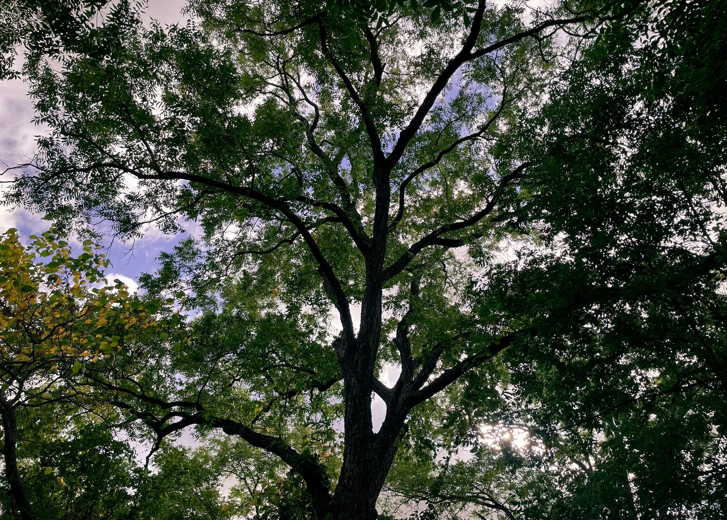 Dirty Church 7-17-22-009.jpg